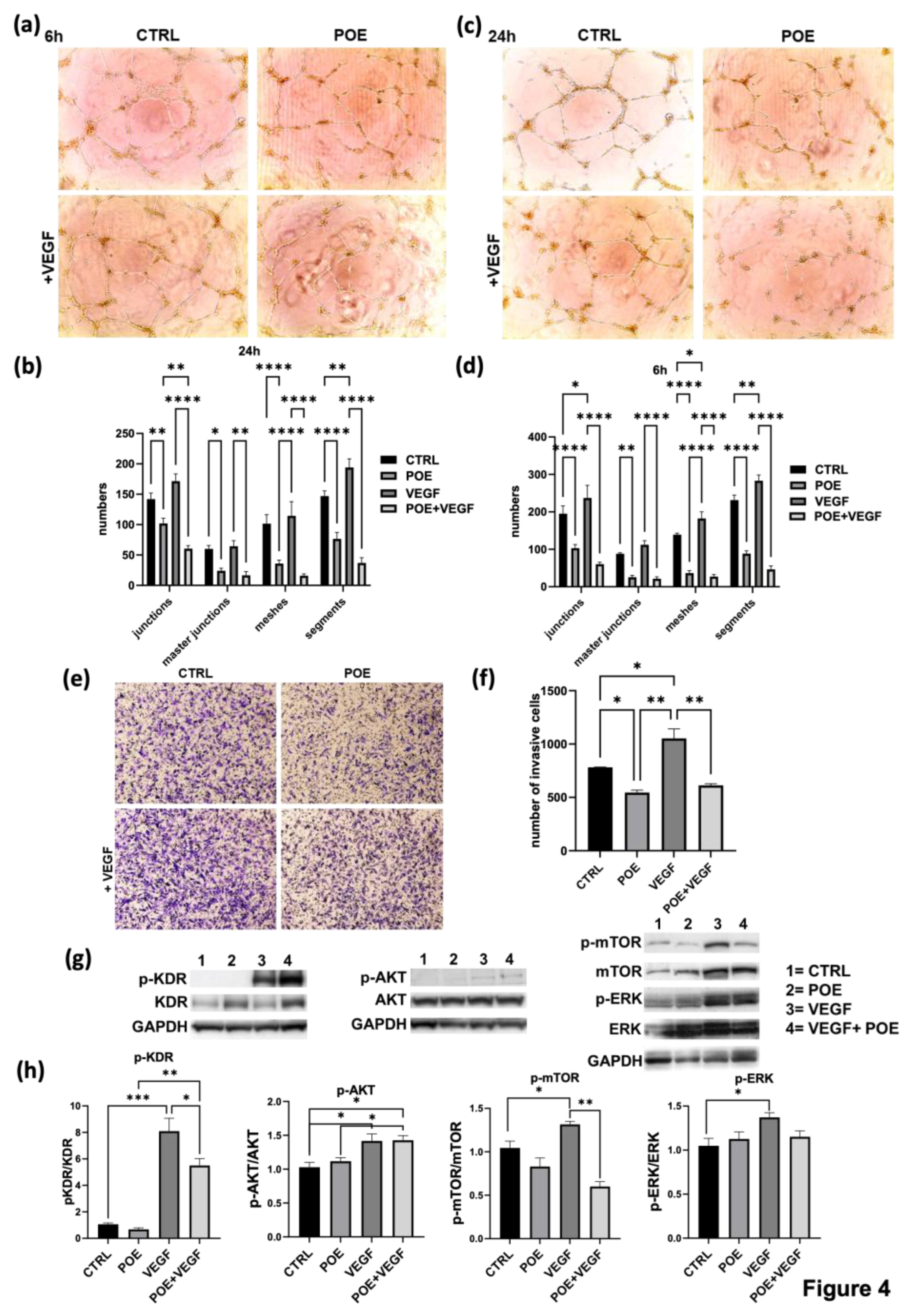 Preprints 168057 g004