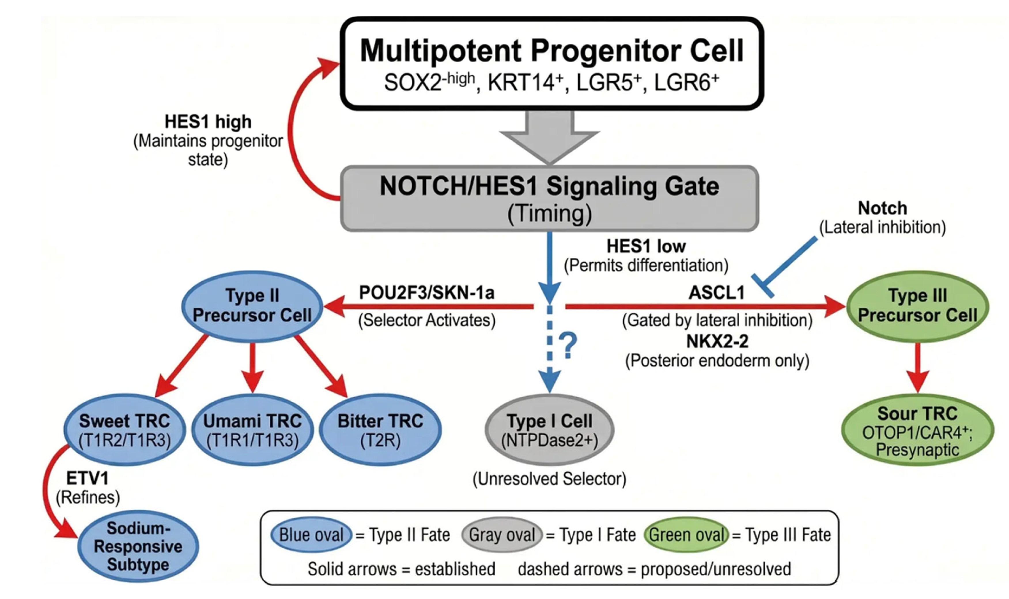 Preprints 211403 g003