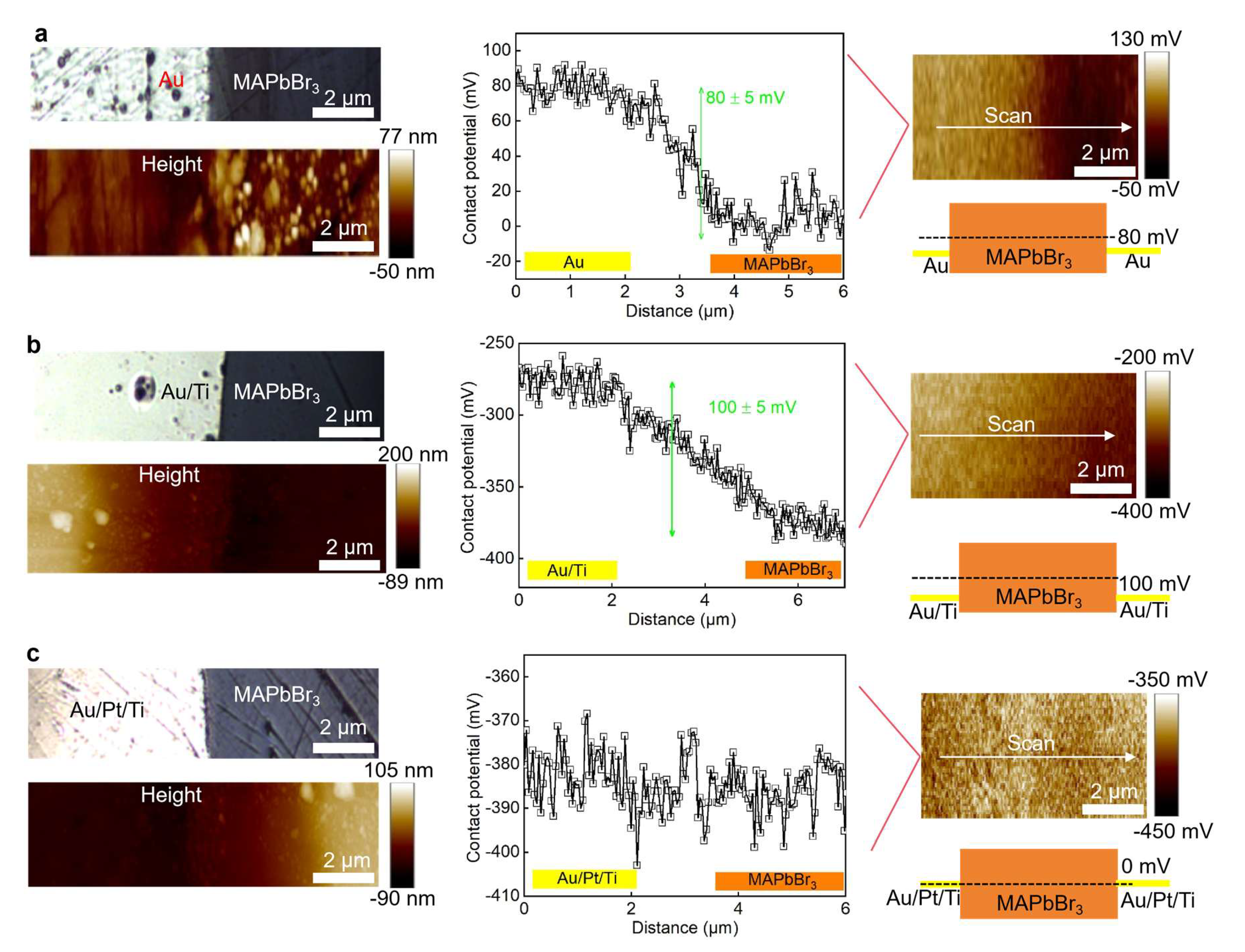 Preprints 206283 g003 Preprints 206283 g003