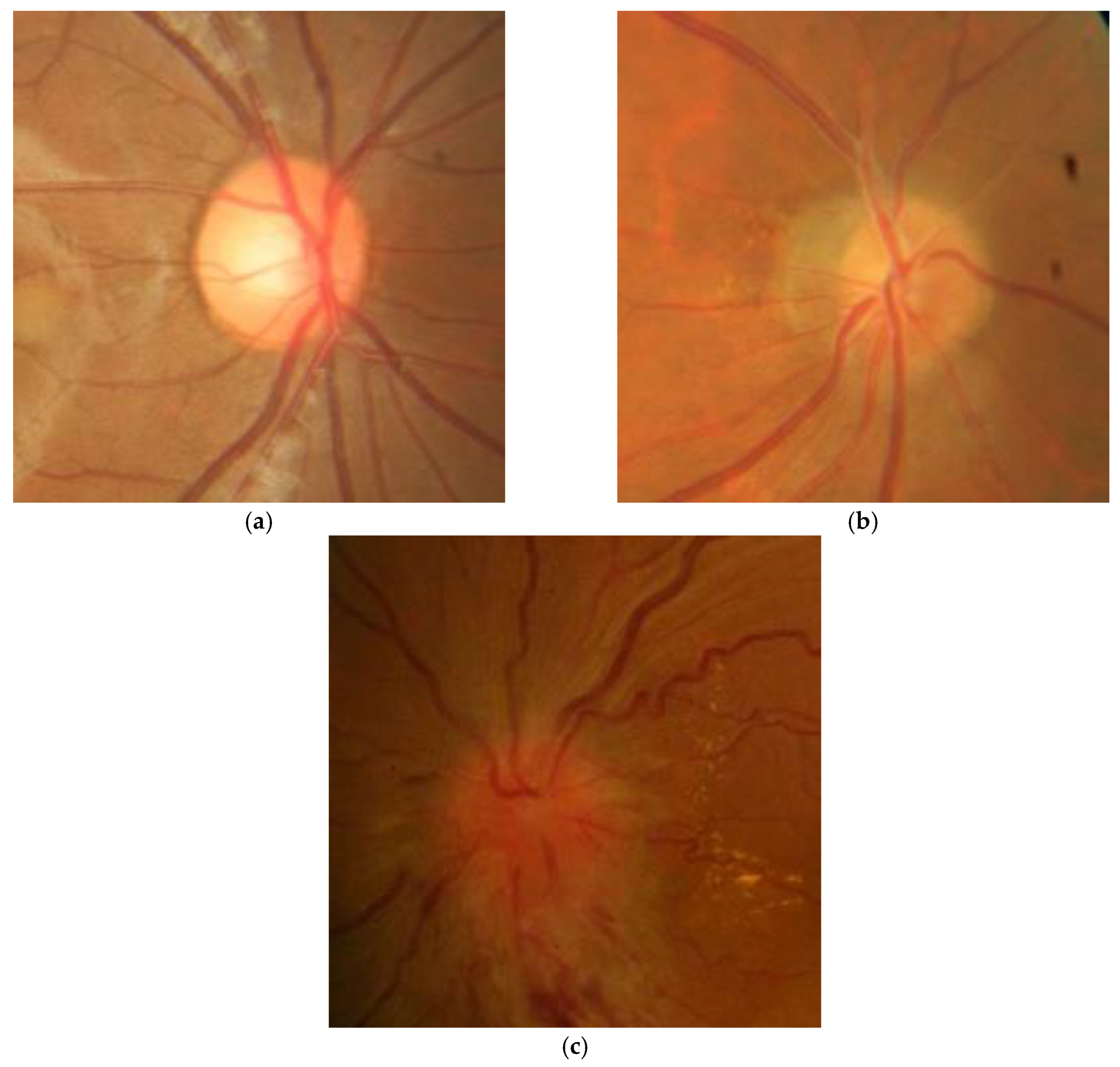Preprints 166222 g001