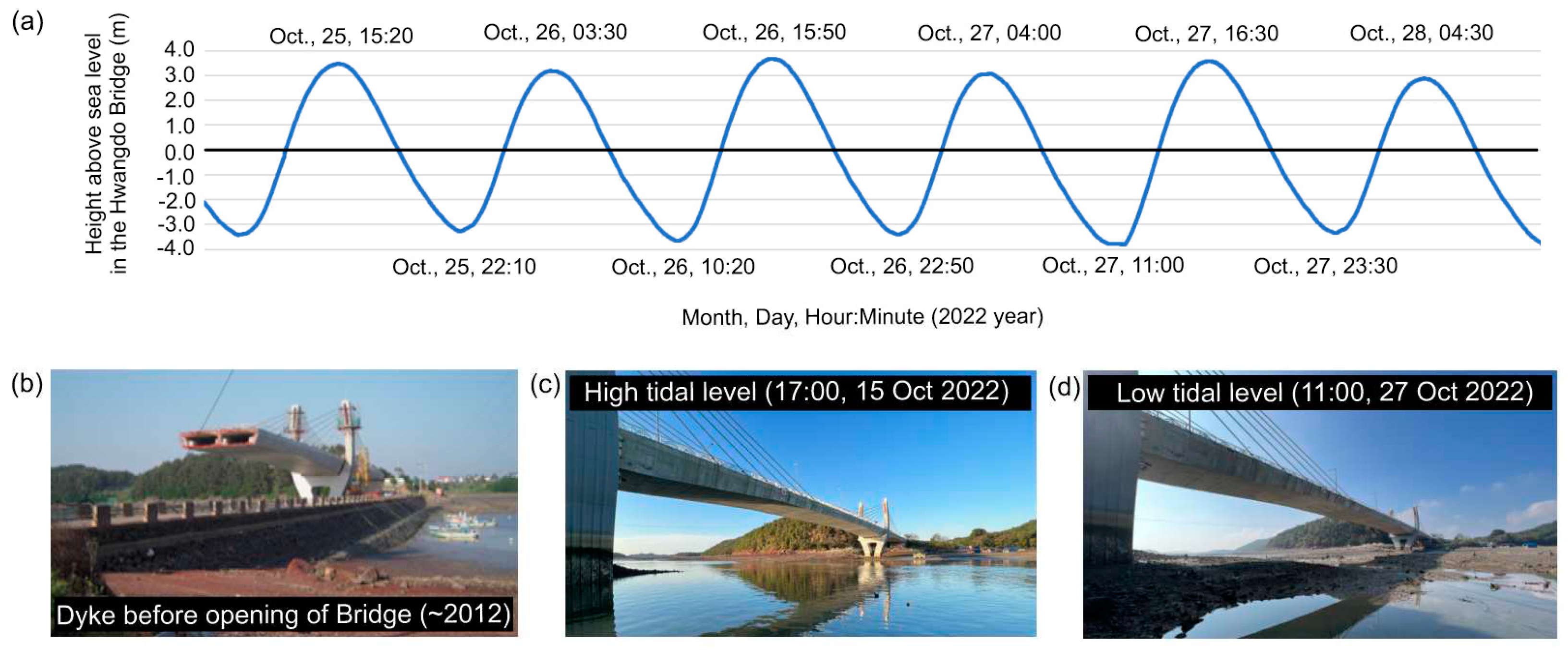 Preprints 78637 g003