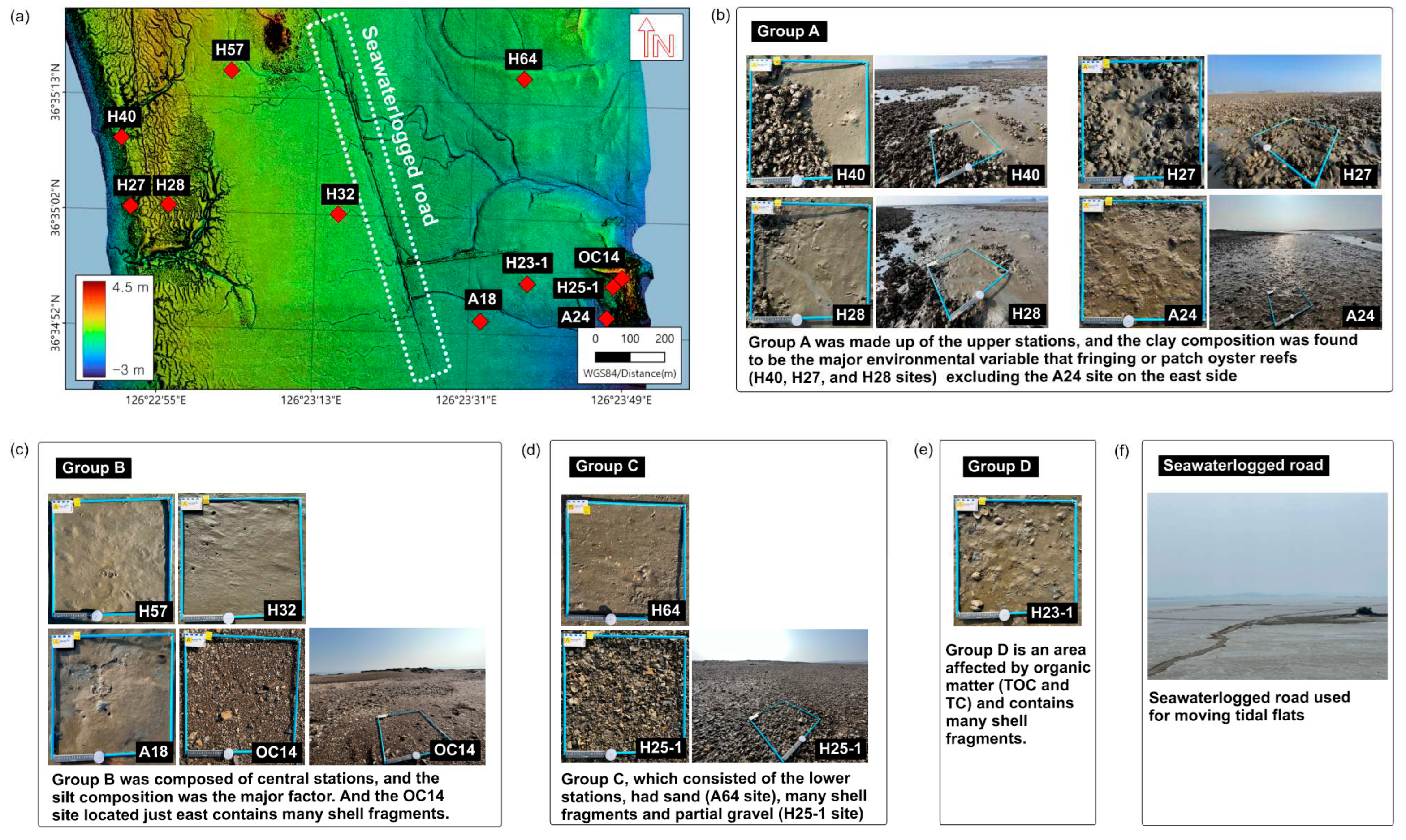 Preprints 78637 g012