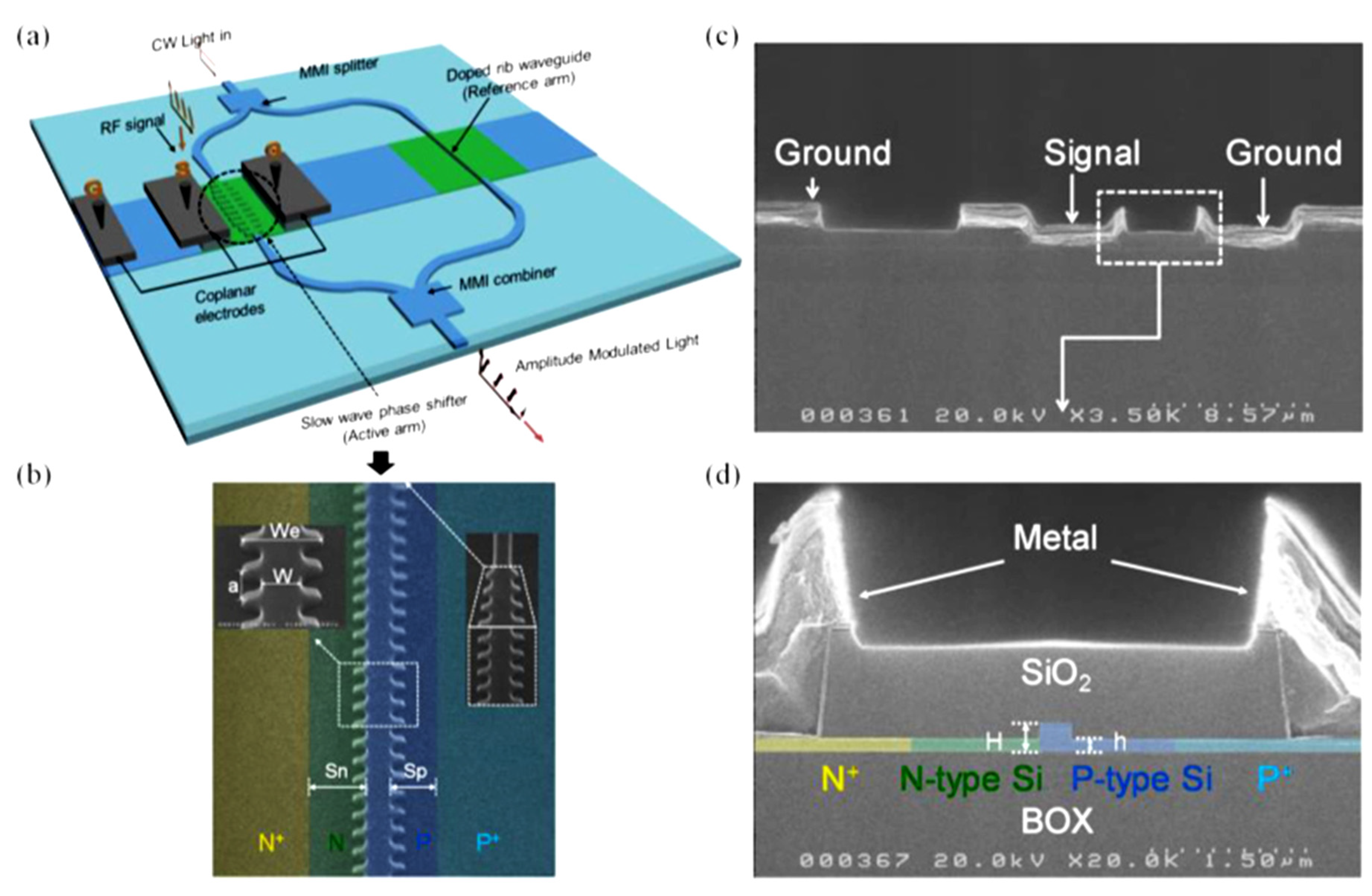 Preprints 159228 g004