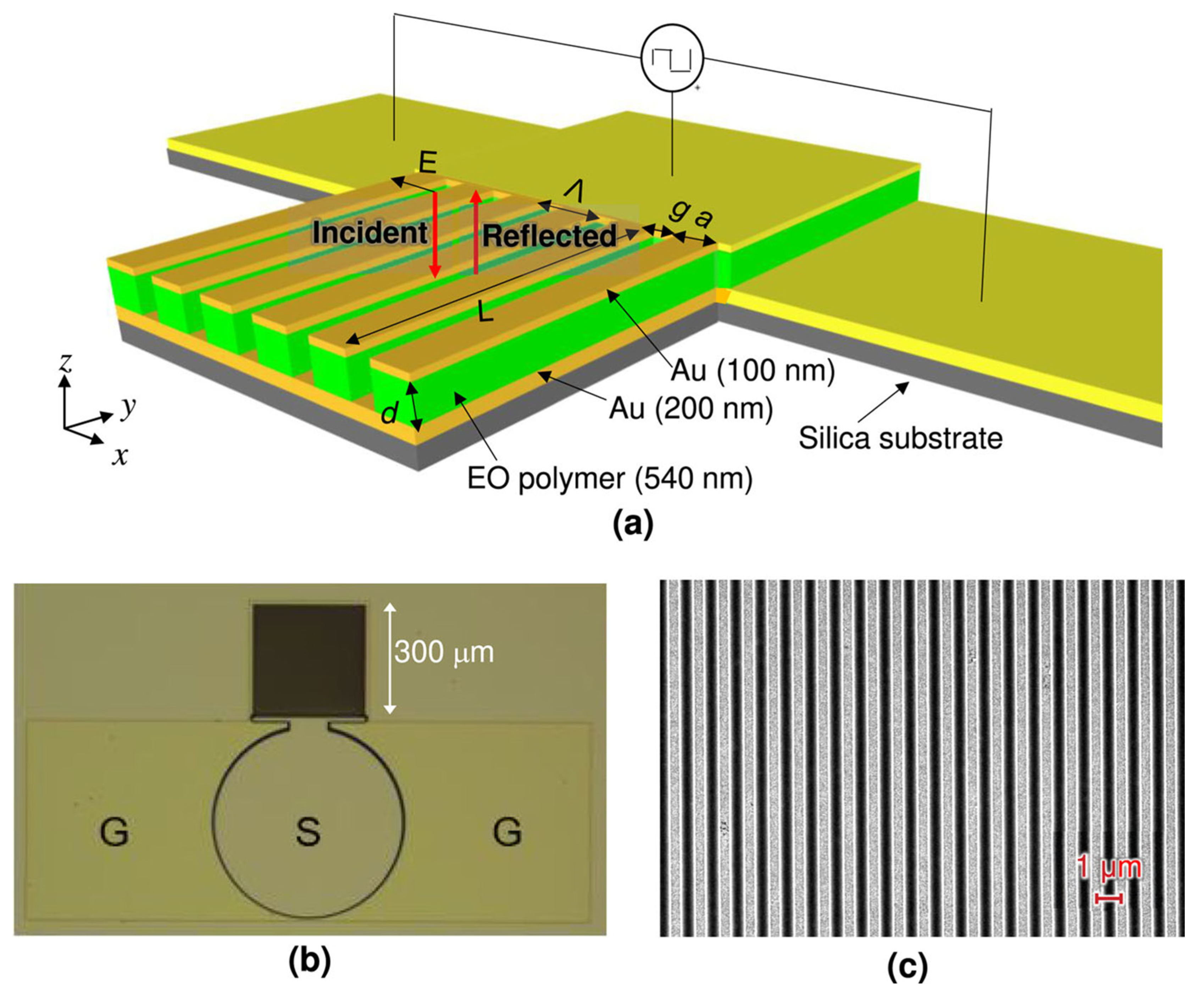 Preprints 159228 g008
