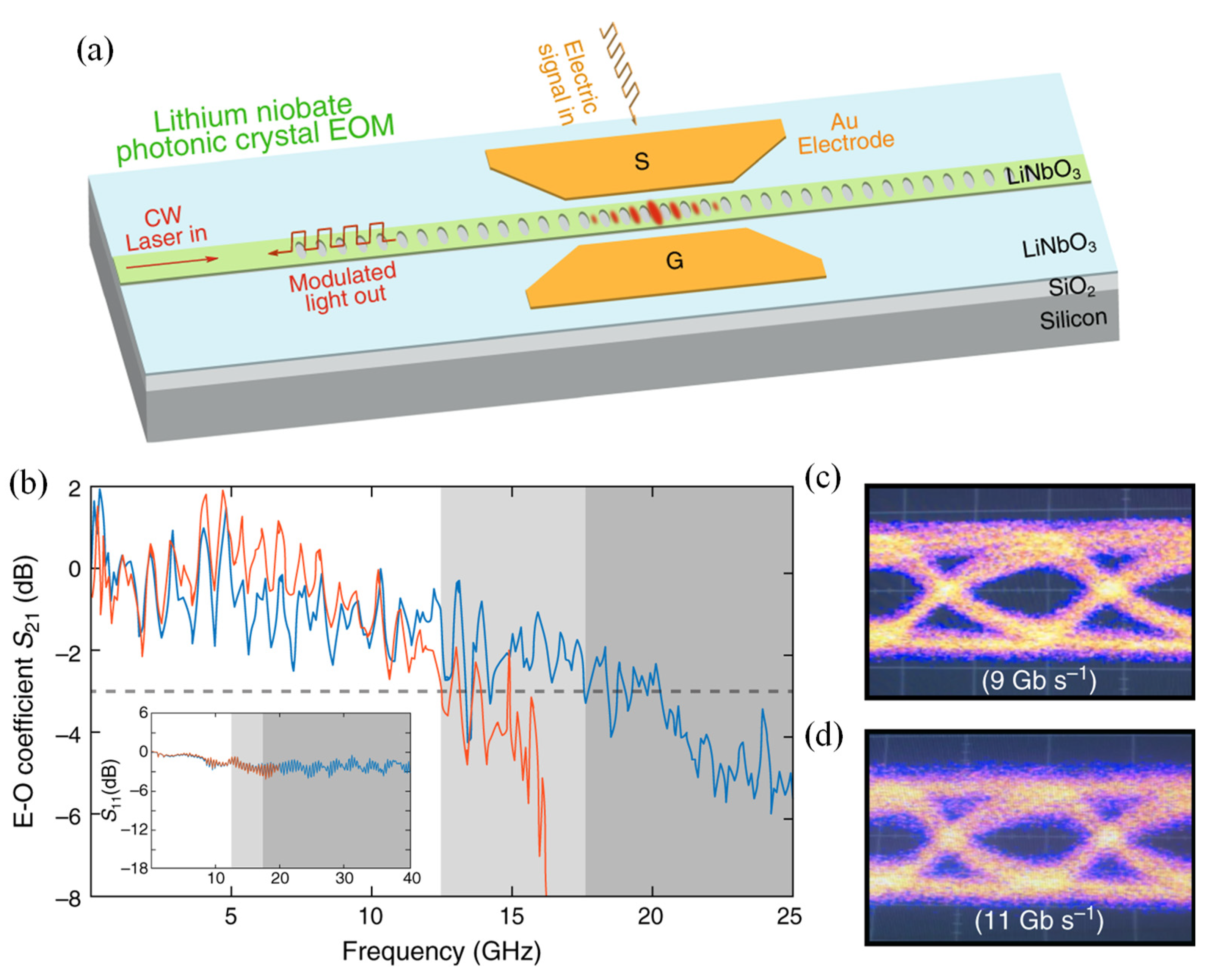 Preprints 159228 g009