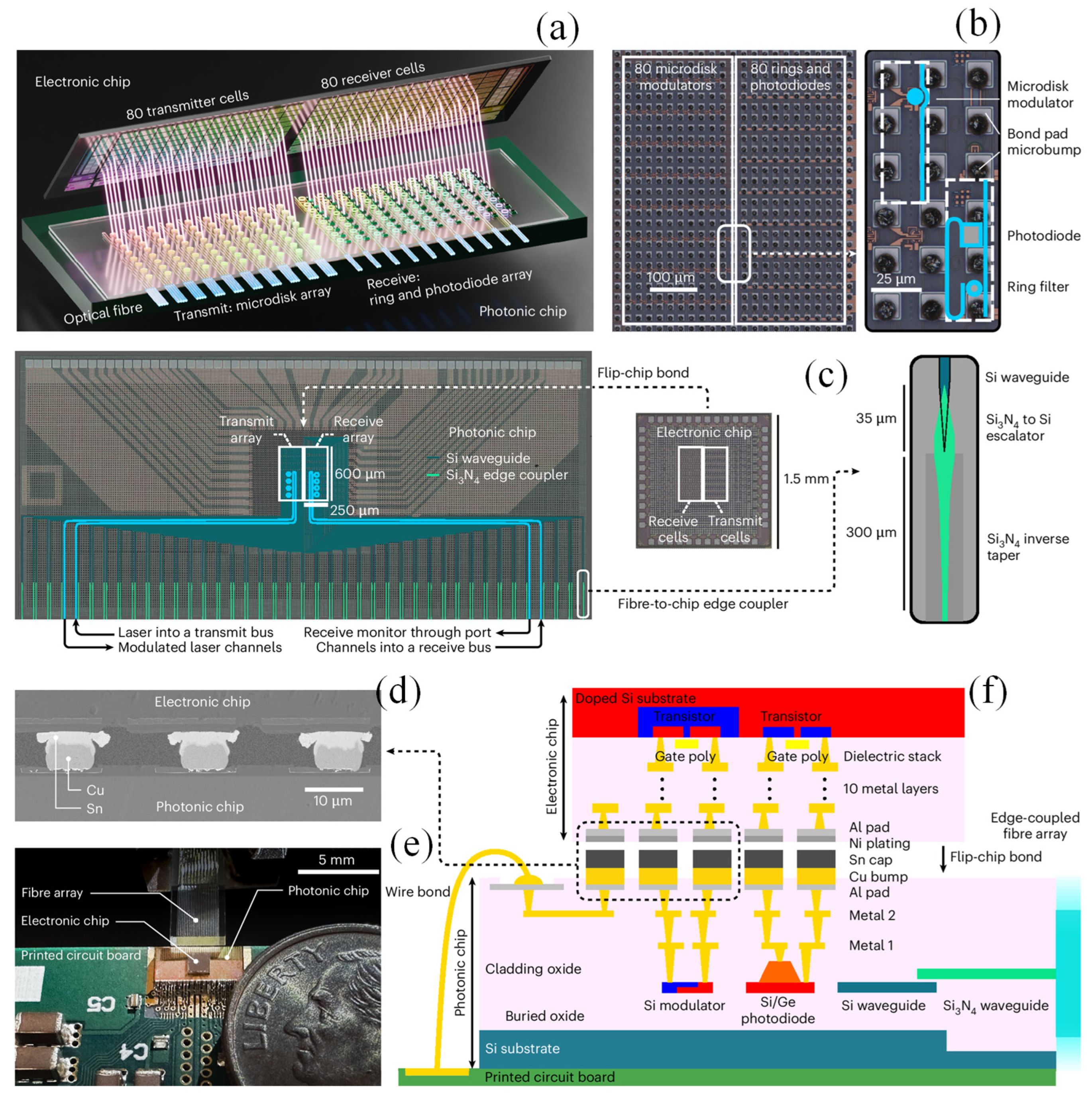Preprints 159228 g011