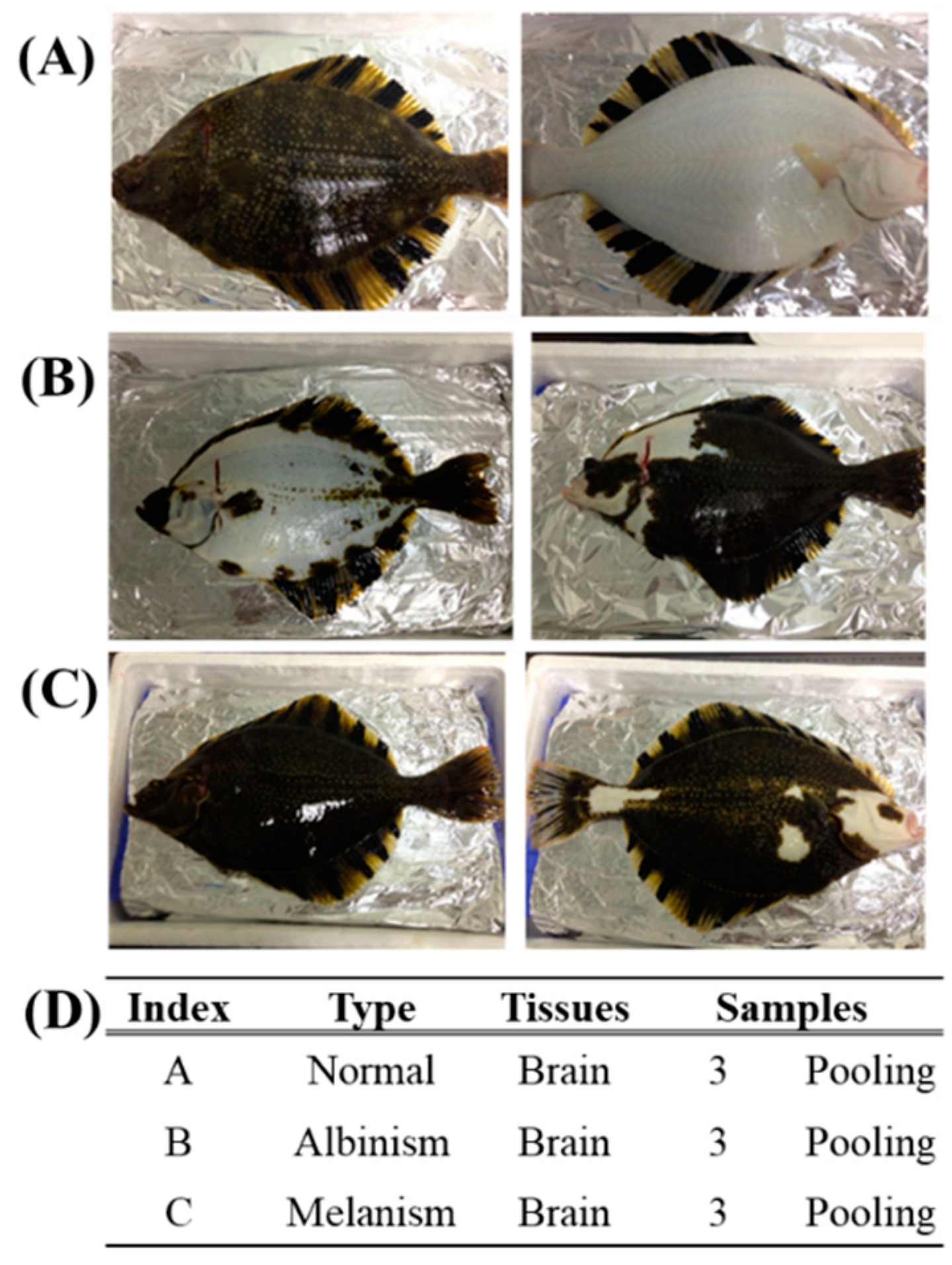 Preprints 143038 g001