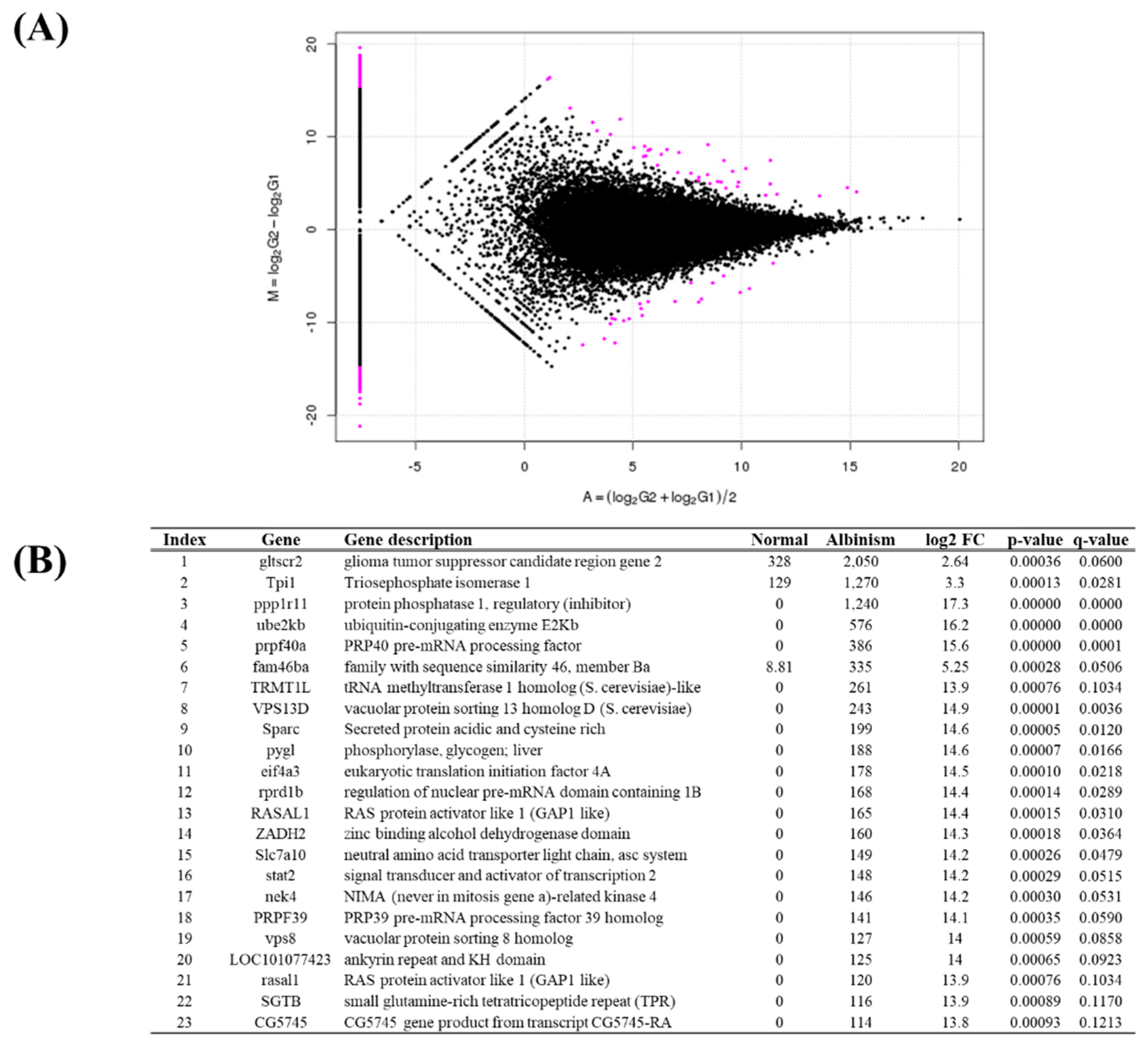 Preprints 143038 g004