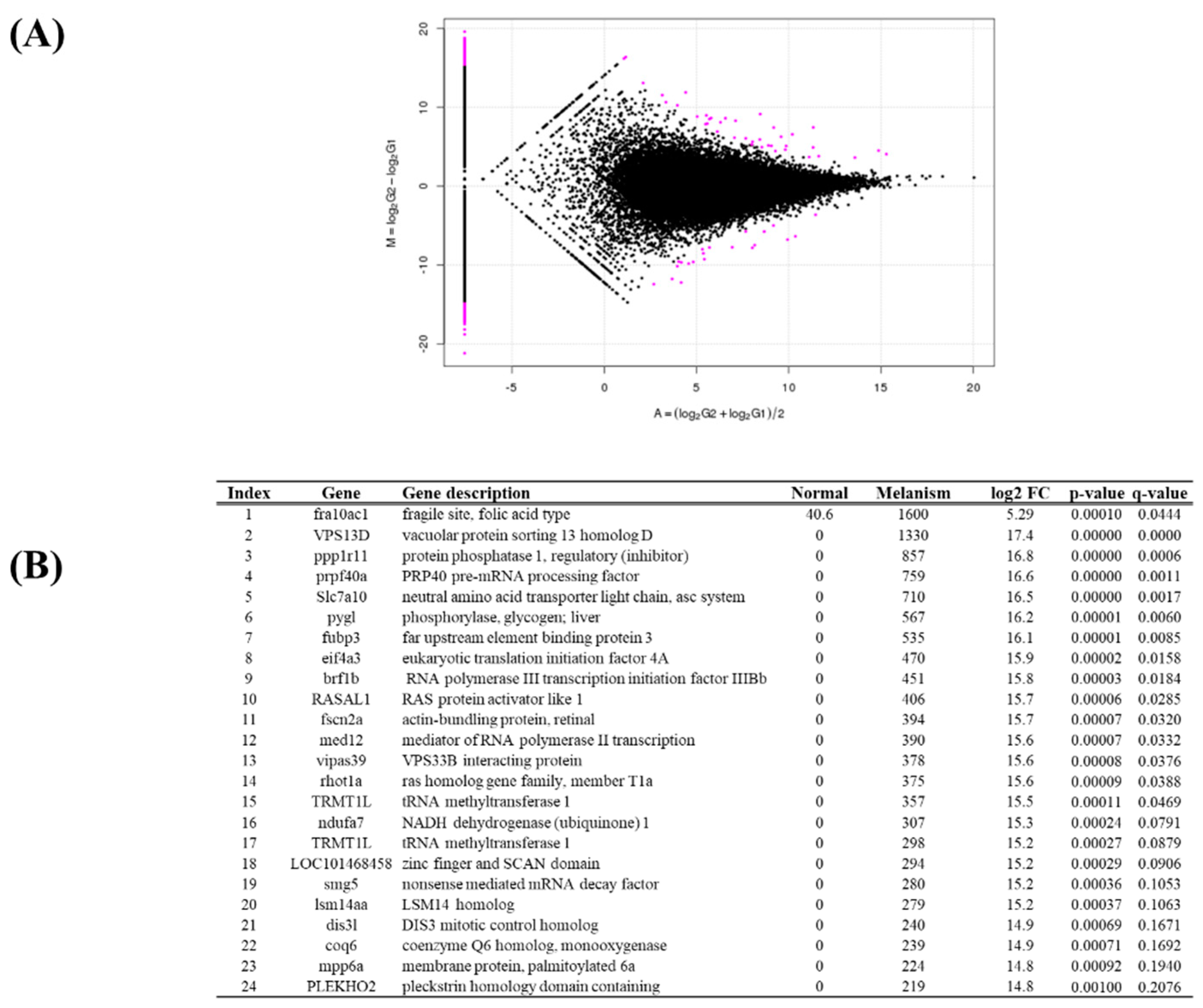 Preprints 143038 g005