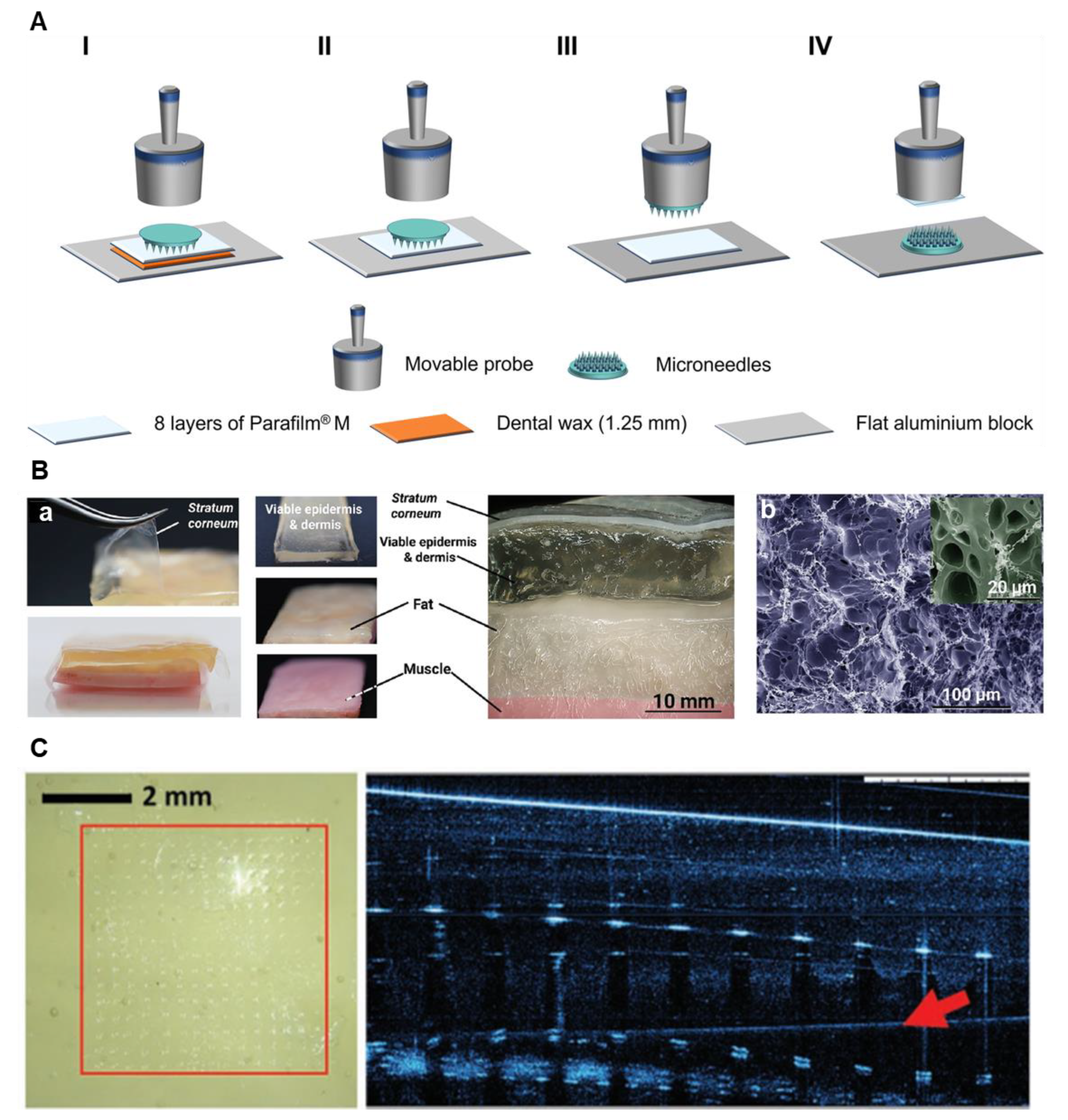 Preprints 191899 g001