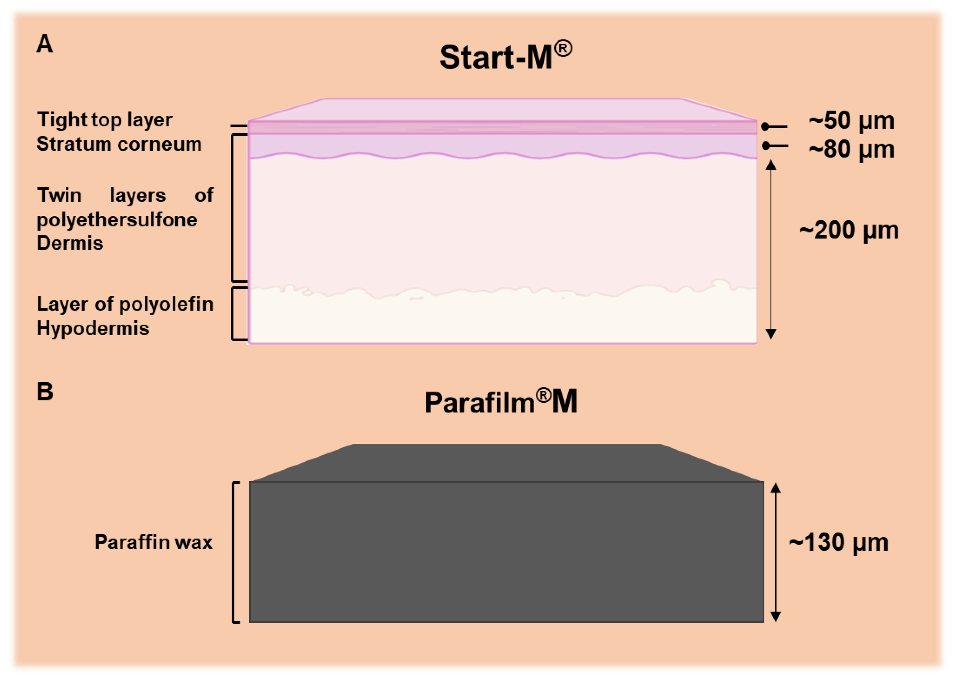 Preprints 191899 g002