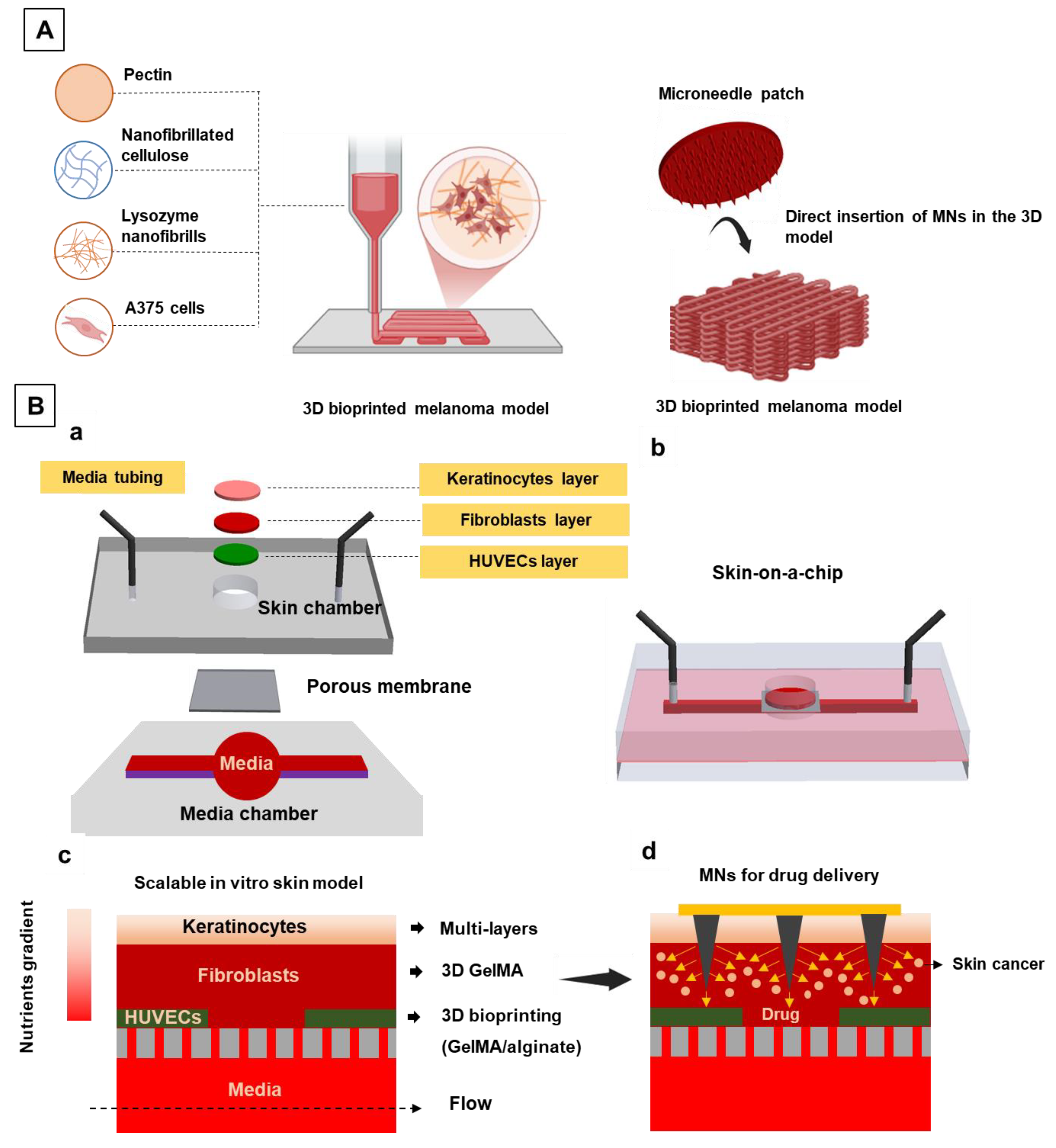 Preprints 191899 g003