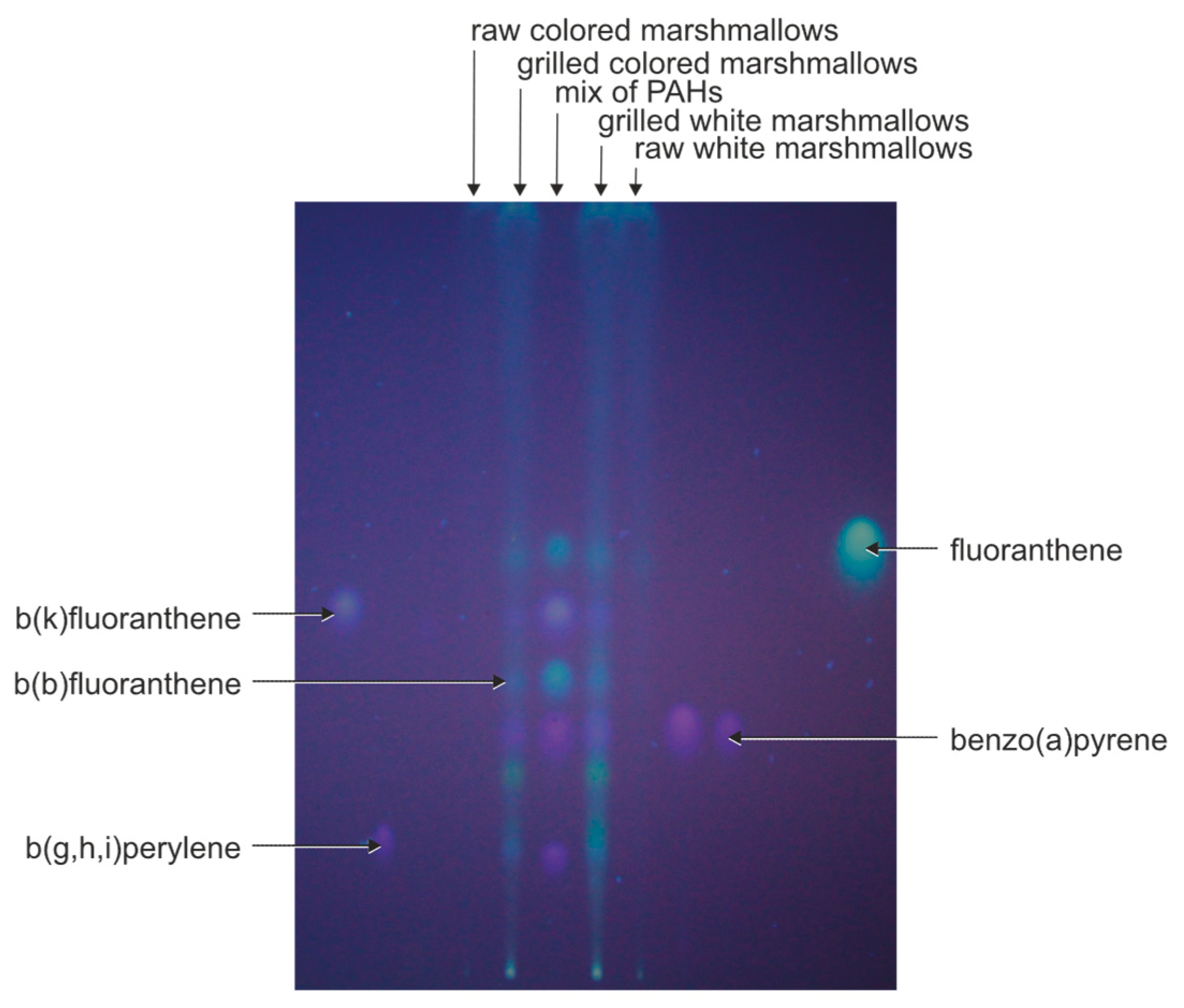 Preprints 104051 g004