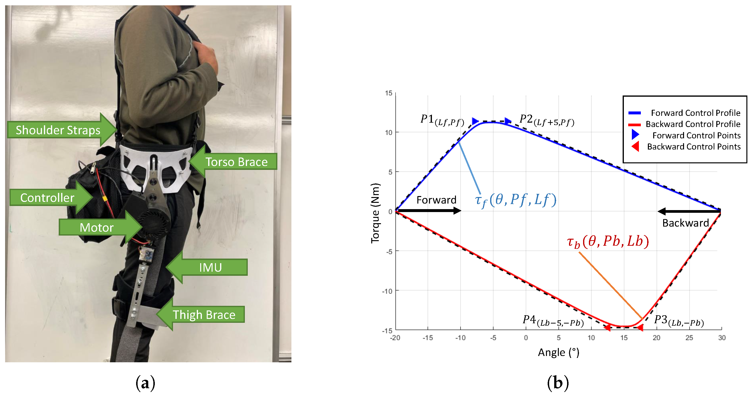 Preprints 146388 g002