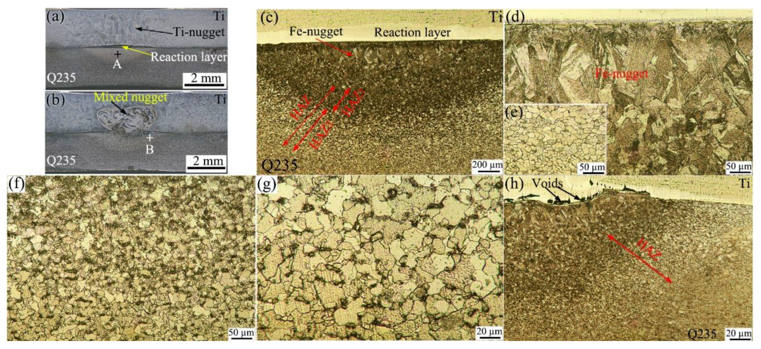 Preprints 162173 g001