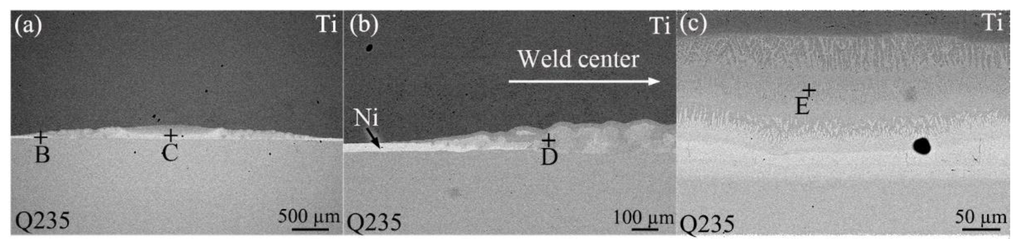 Preprints 162173 g003