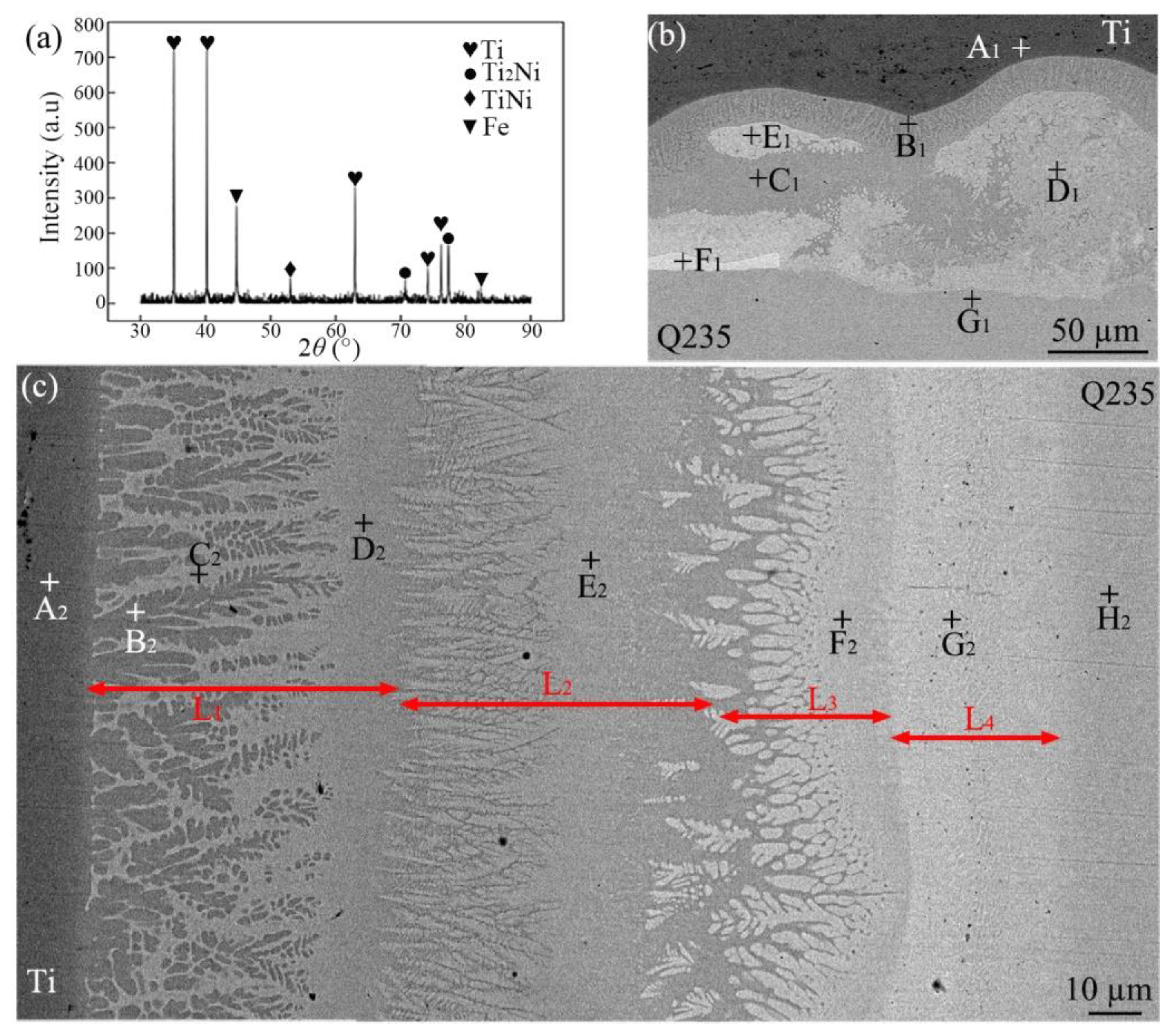 Preprints 162173 g004