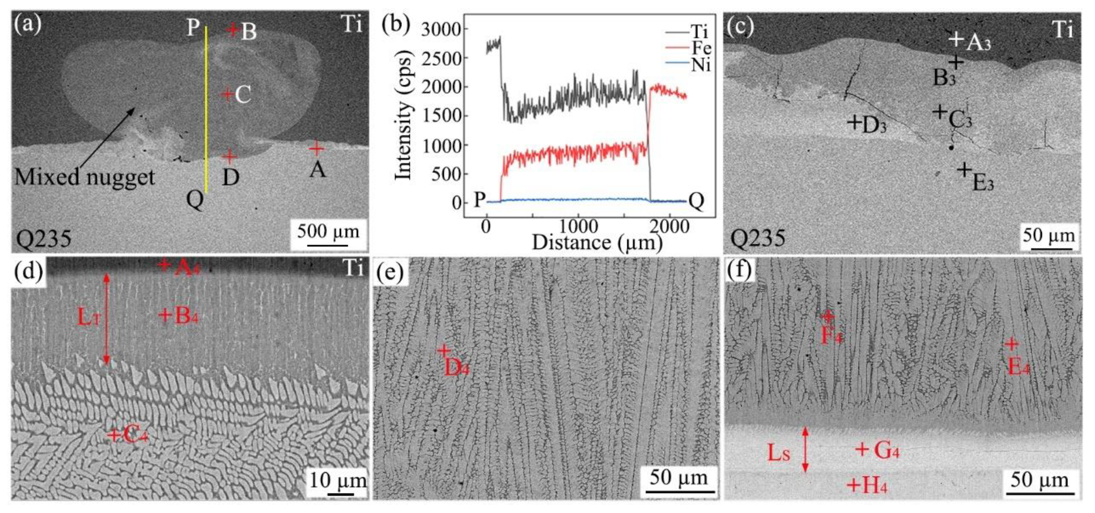 Preprints 162173 g005