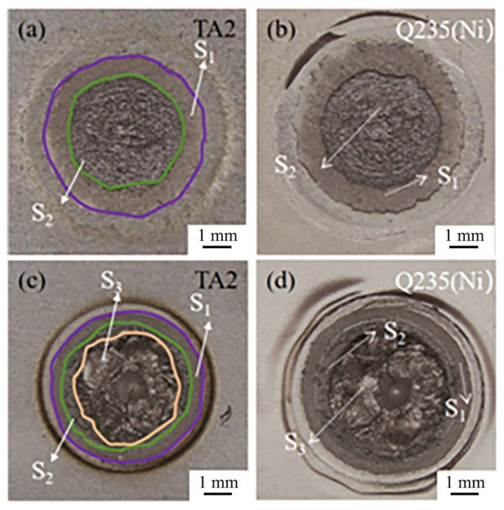 Preprints 162173 g008