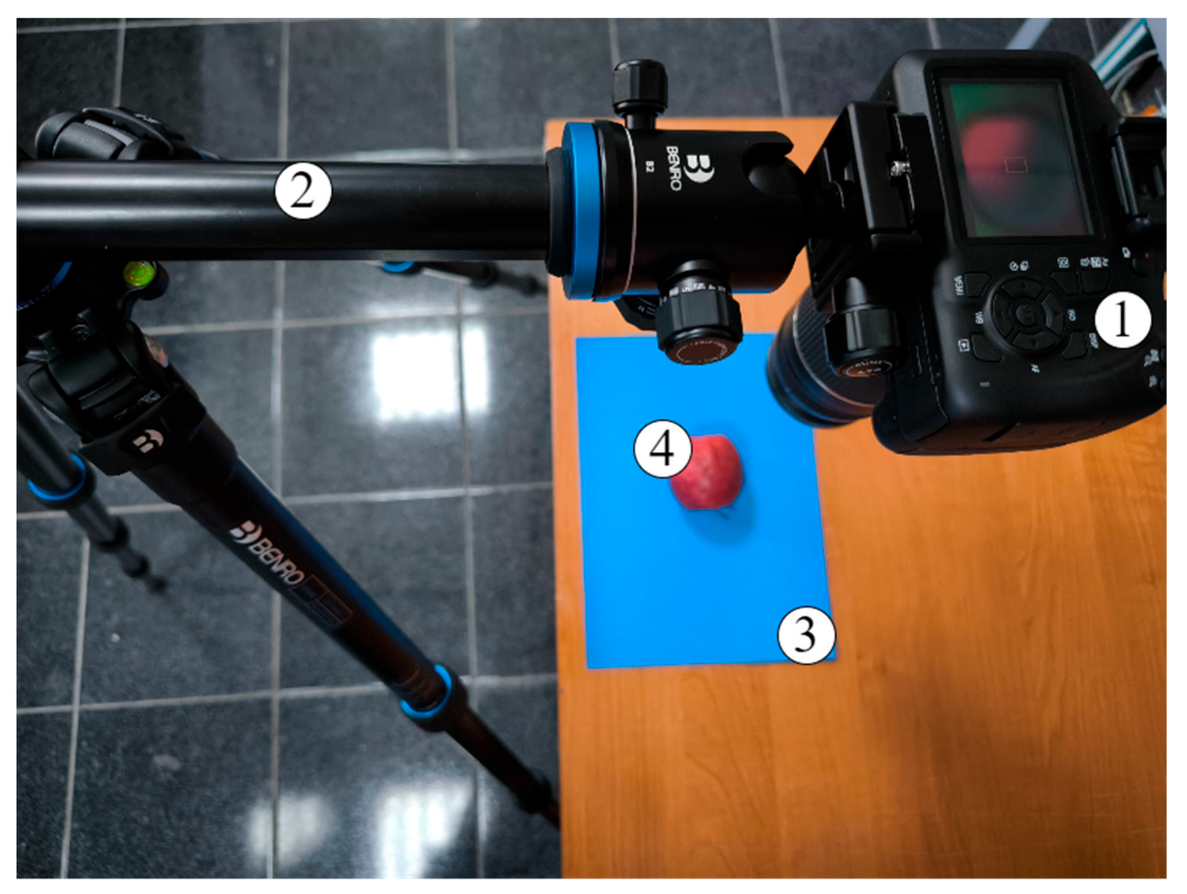 Preprints 170086 g001