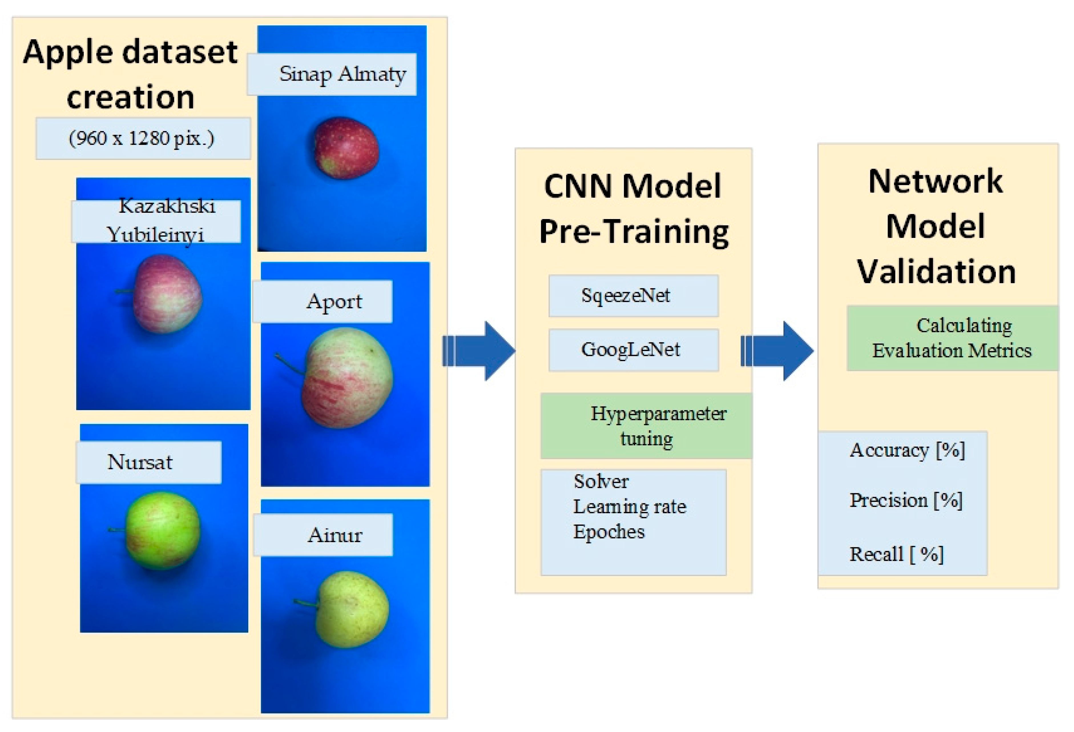 Preprints 170086 g003