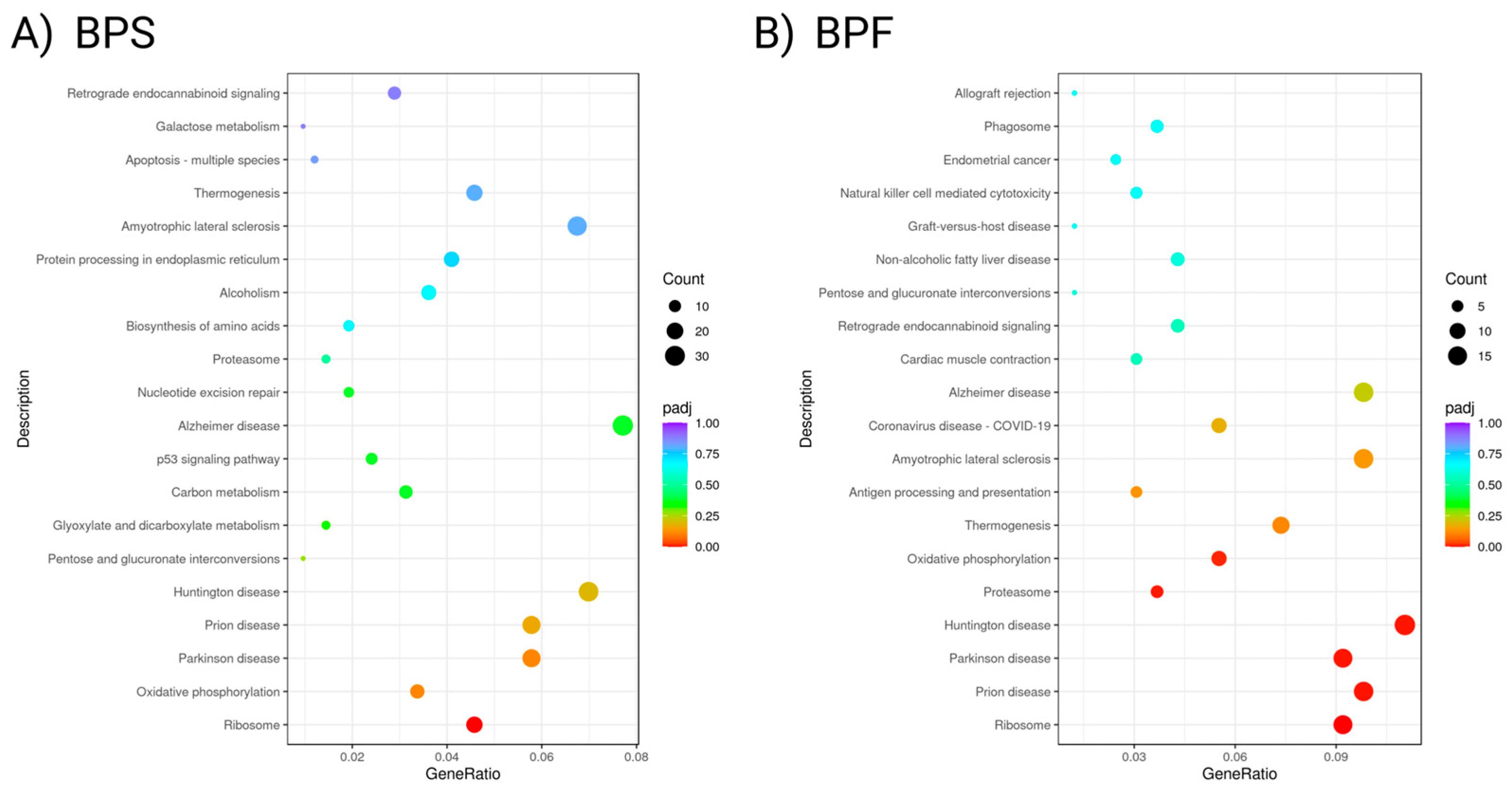 Preprints 169500 g007