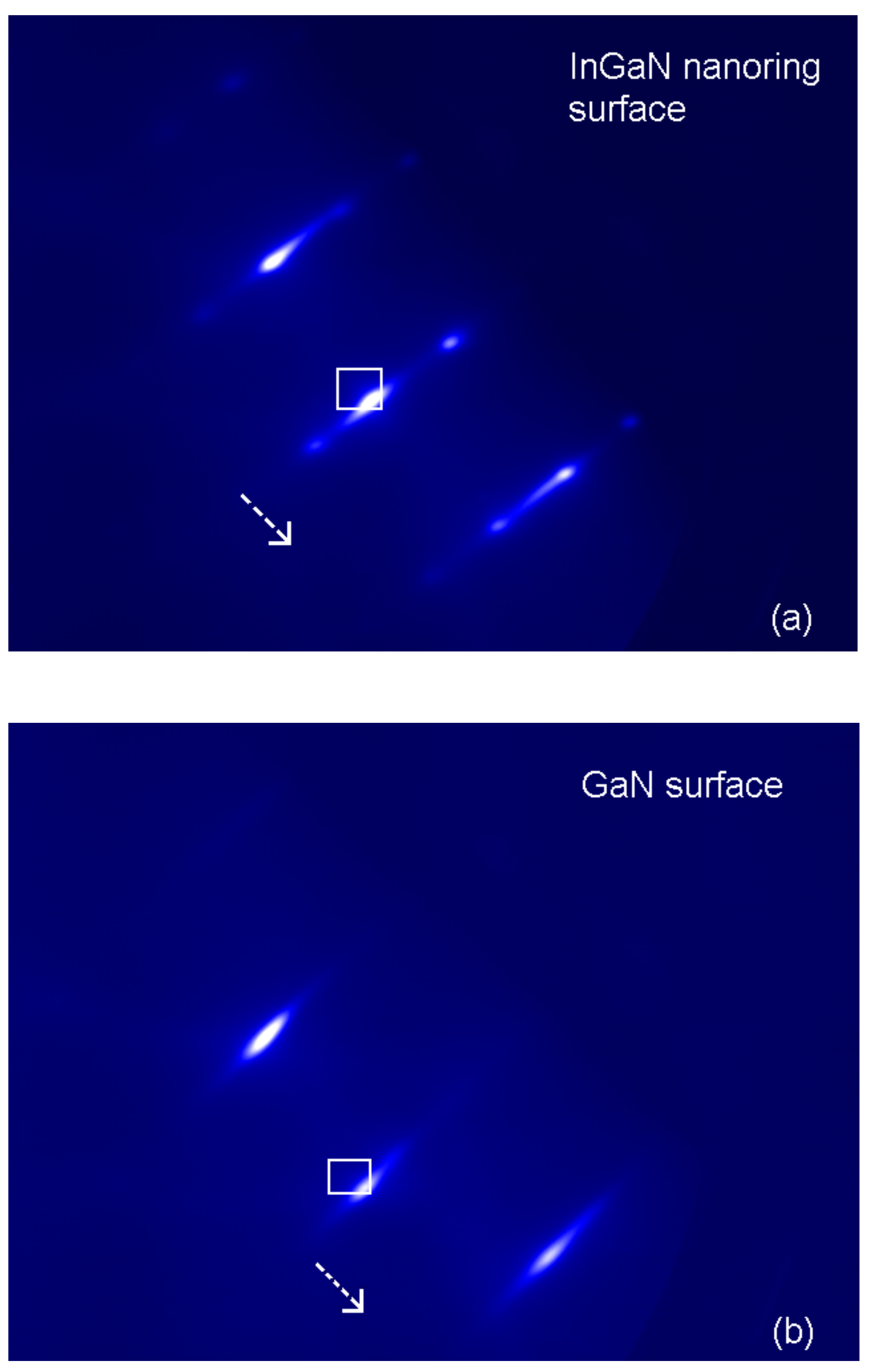 Preprints 145450 g003