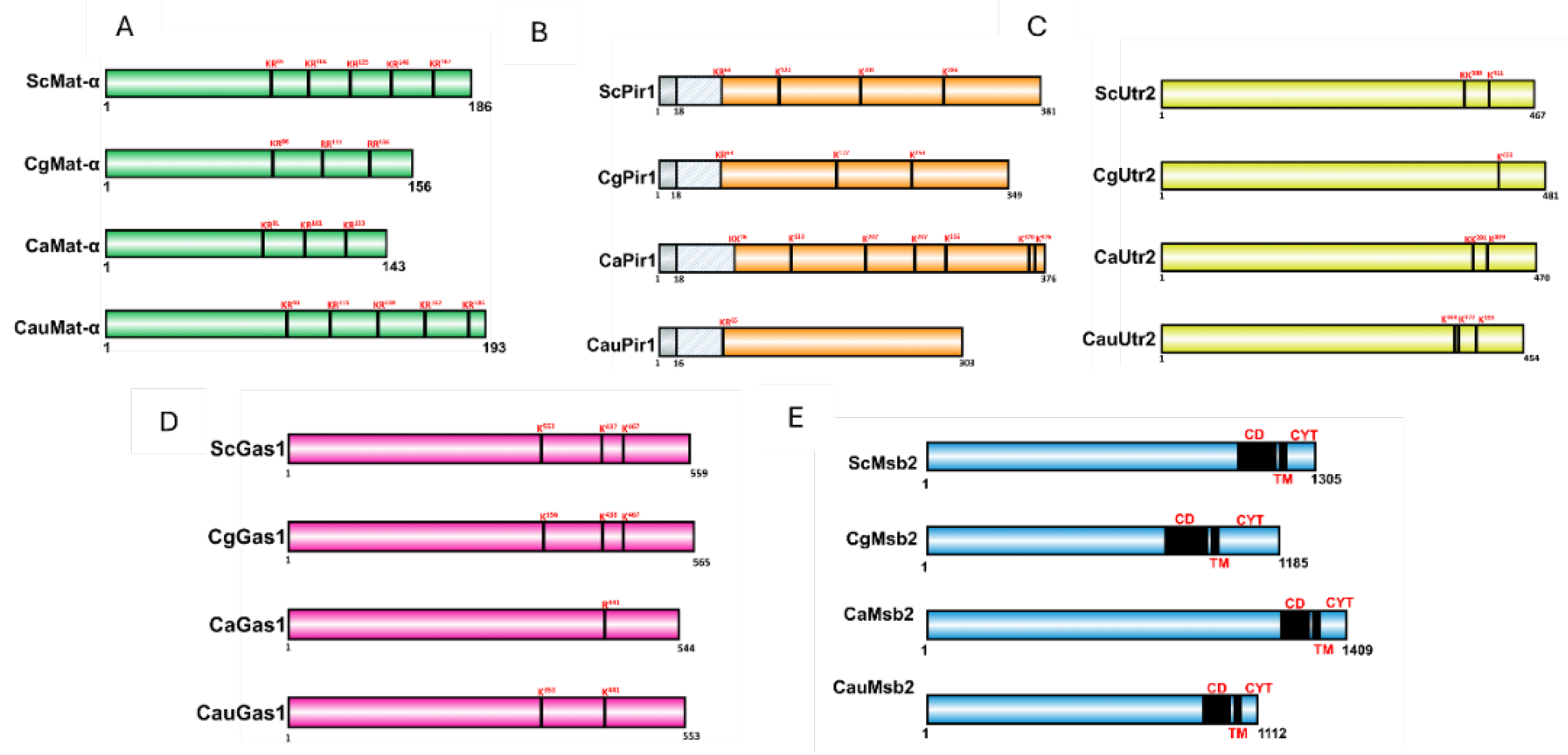 Preprints 164557 g003