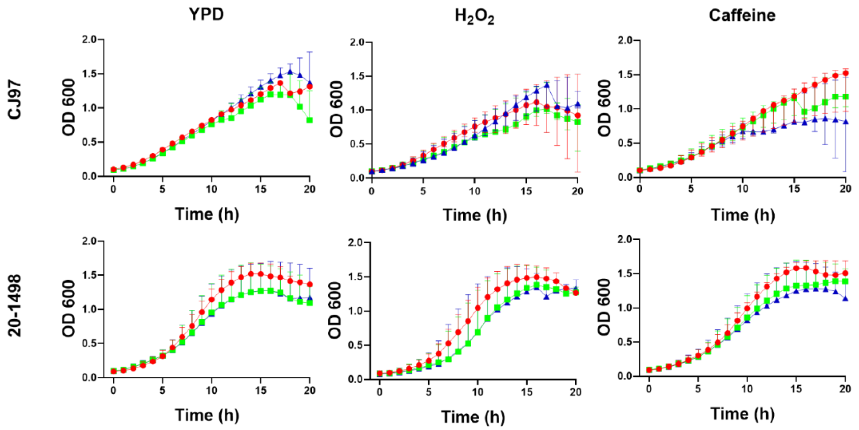 Preprints 164557 g004