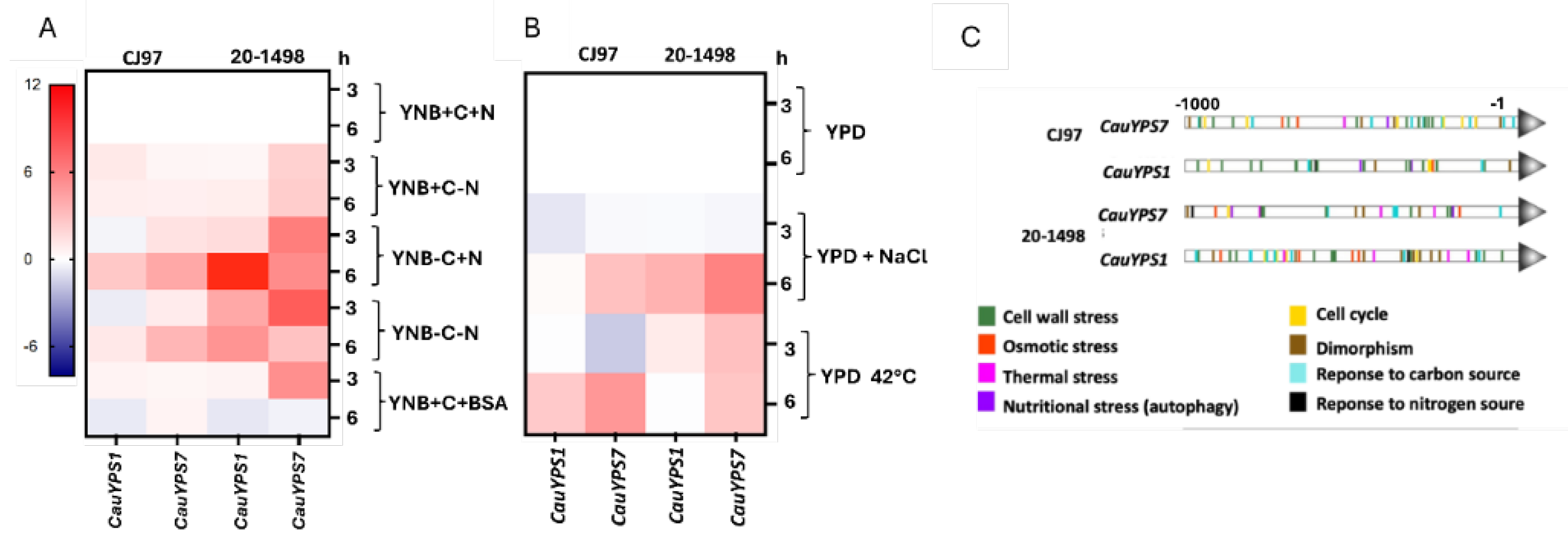 Preprints 164557 g005