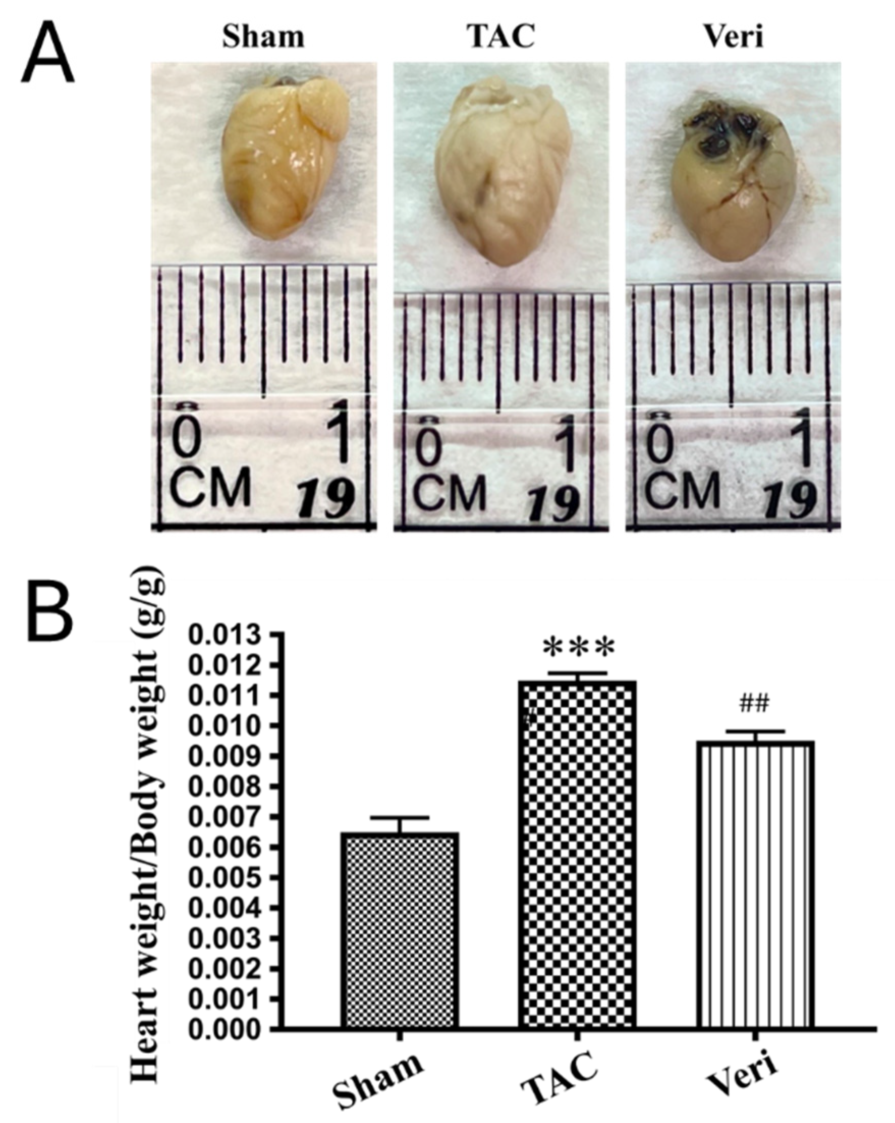 Preprints 183789 g002