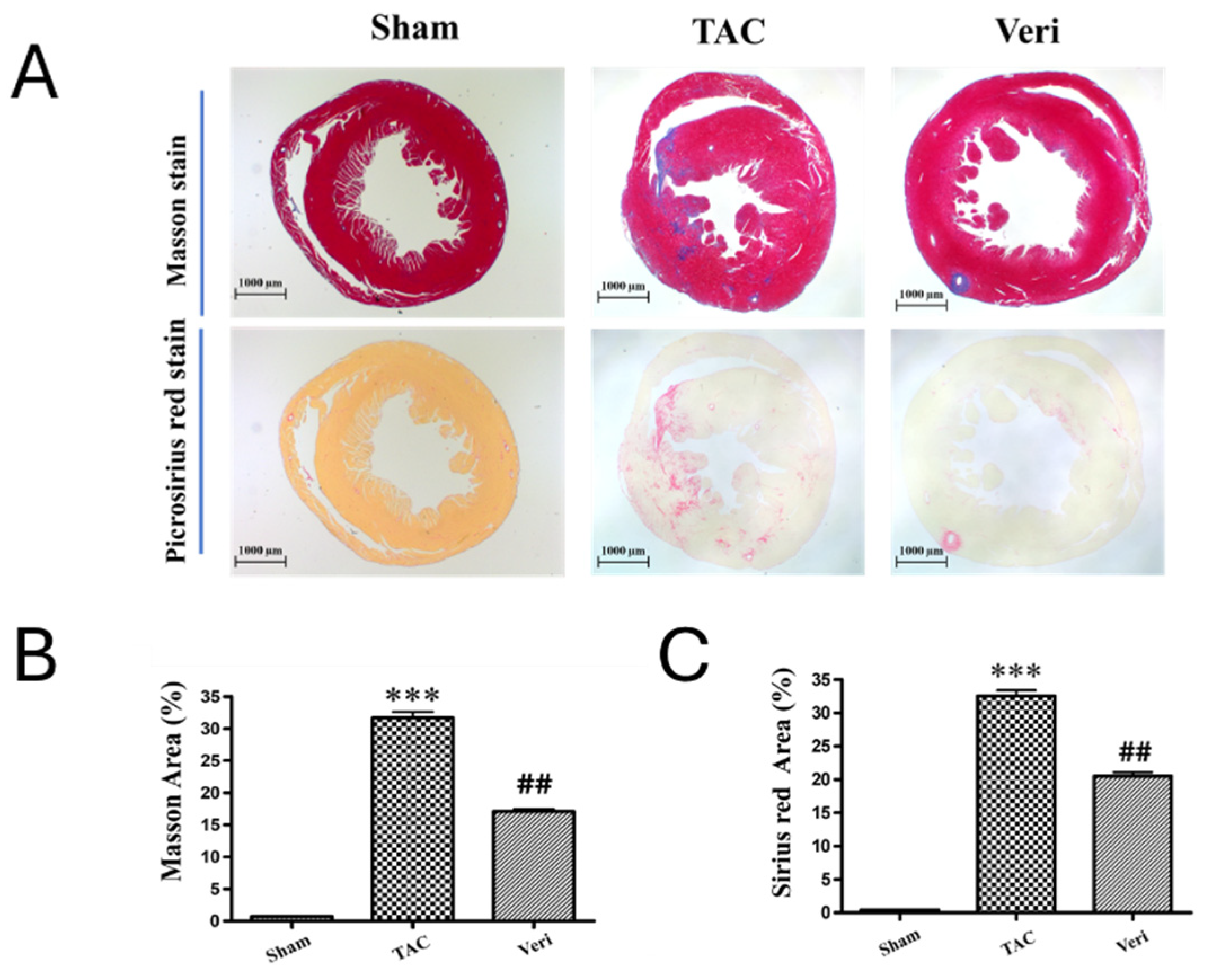 Preprints 183789 g003