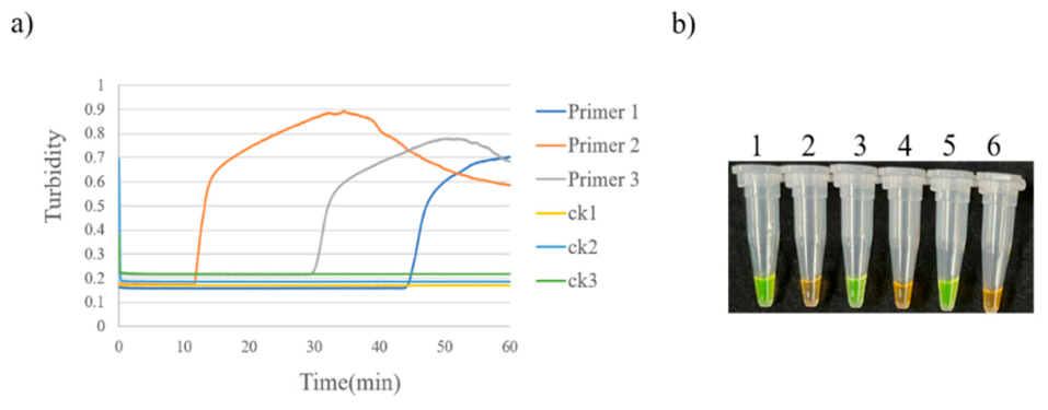Preprints 230219 g002