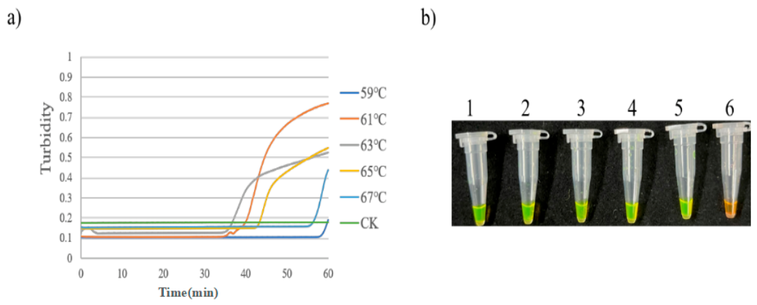 Preprints 230219 g004