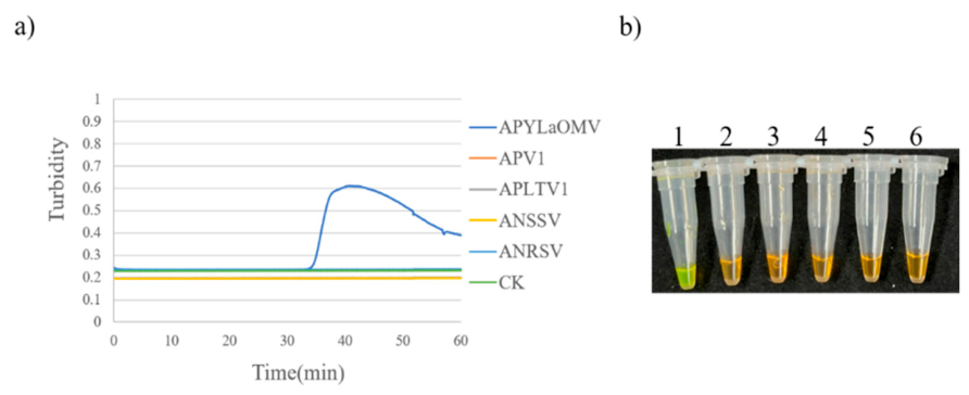 Preprints 230219 g019