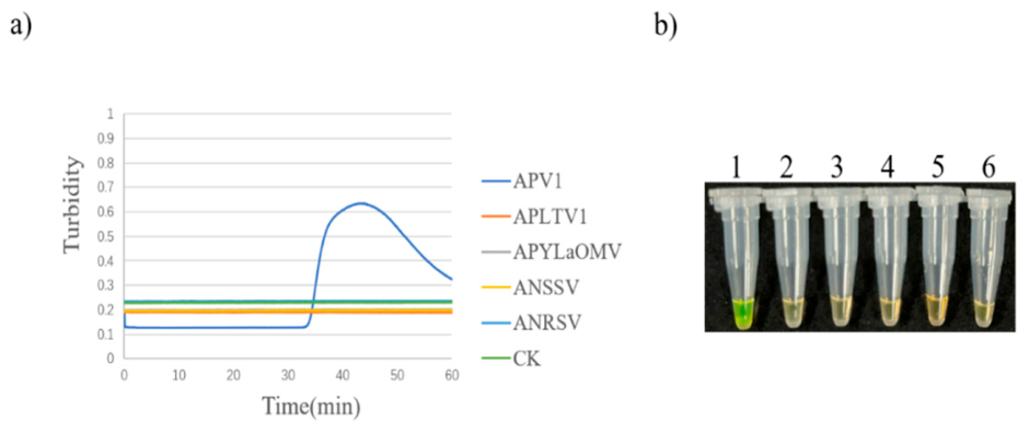 Preprints 230219 g020