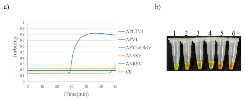 Preprints 230219 g021