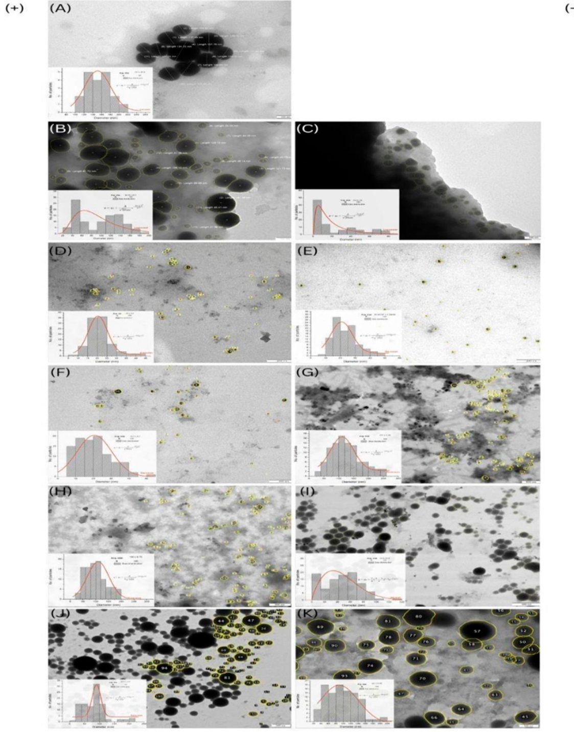 Preprints 225435 g003 Preprints 225435 g003