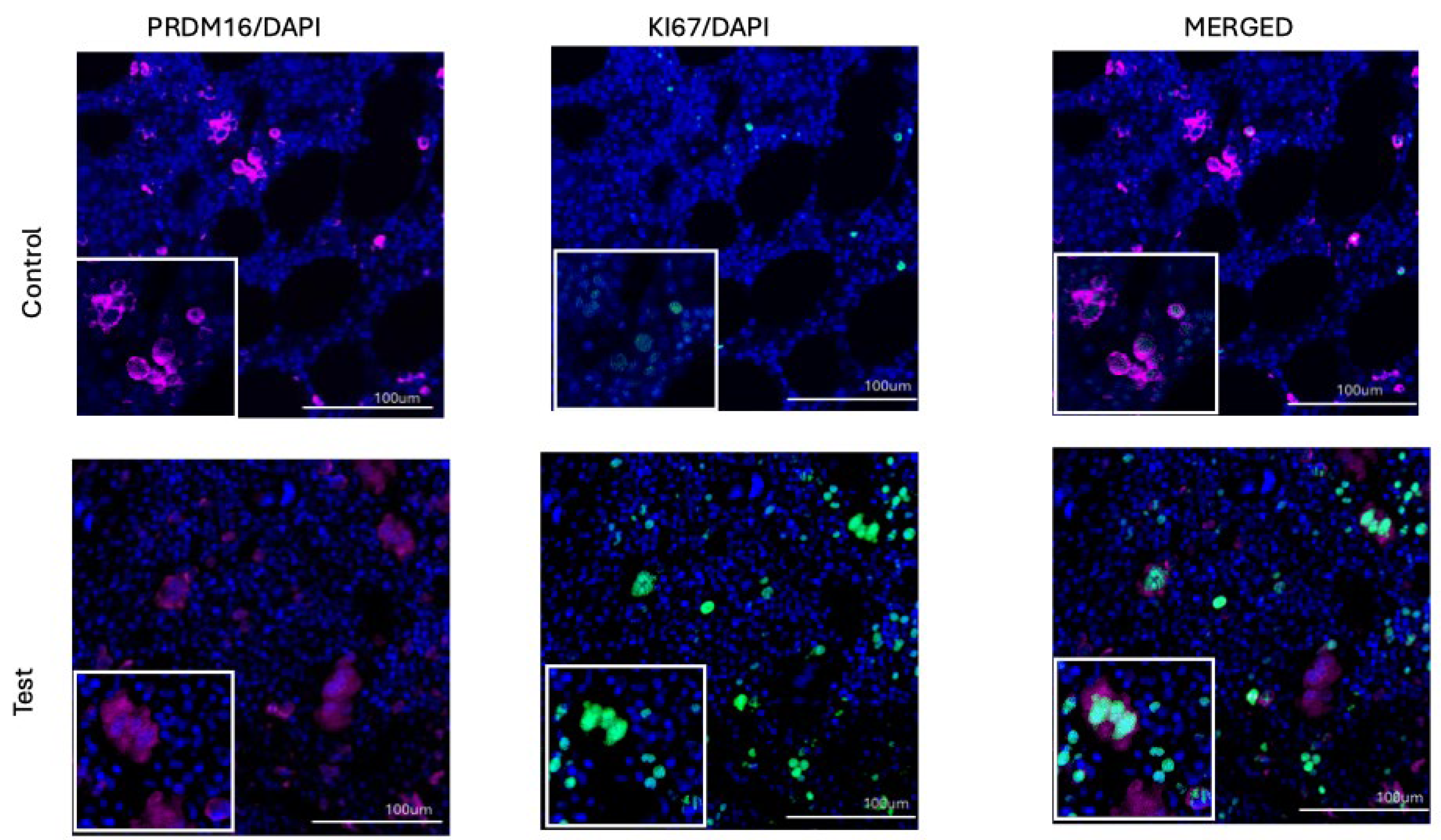 Preprints 177717 g004