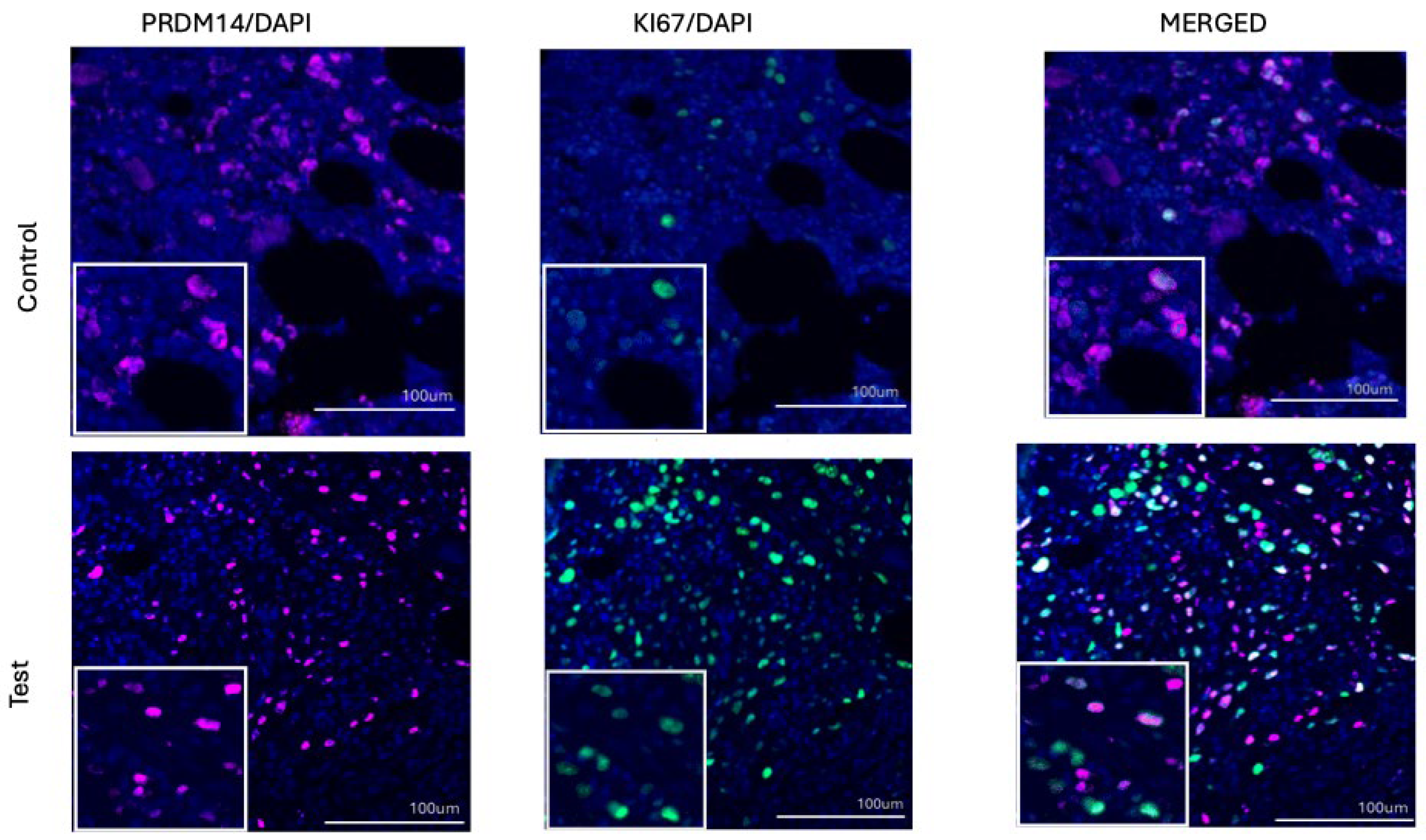 Preprints 177717 g005