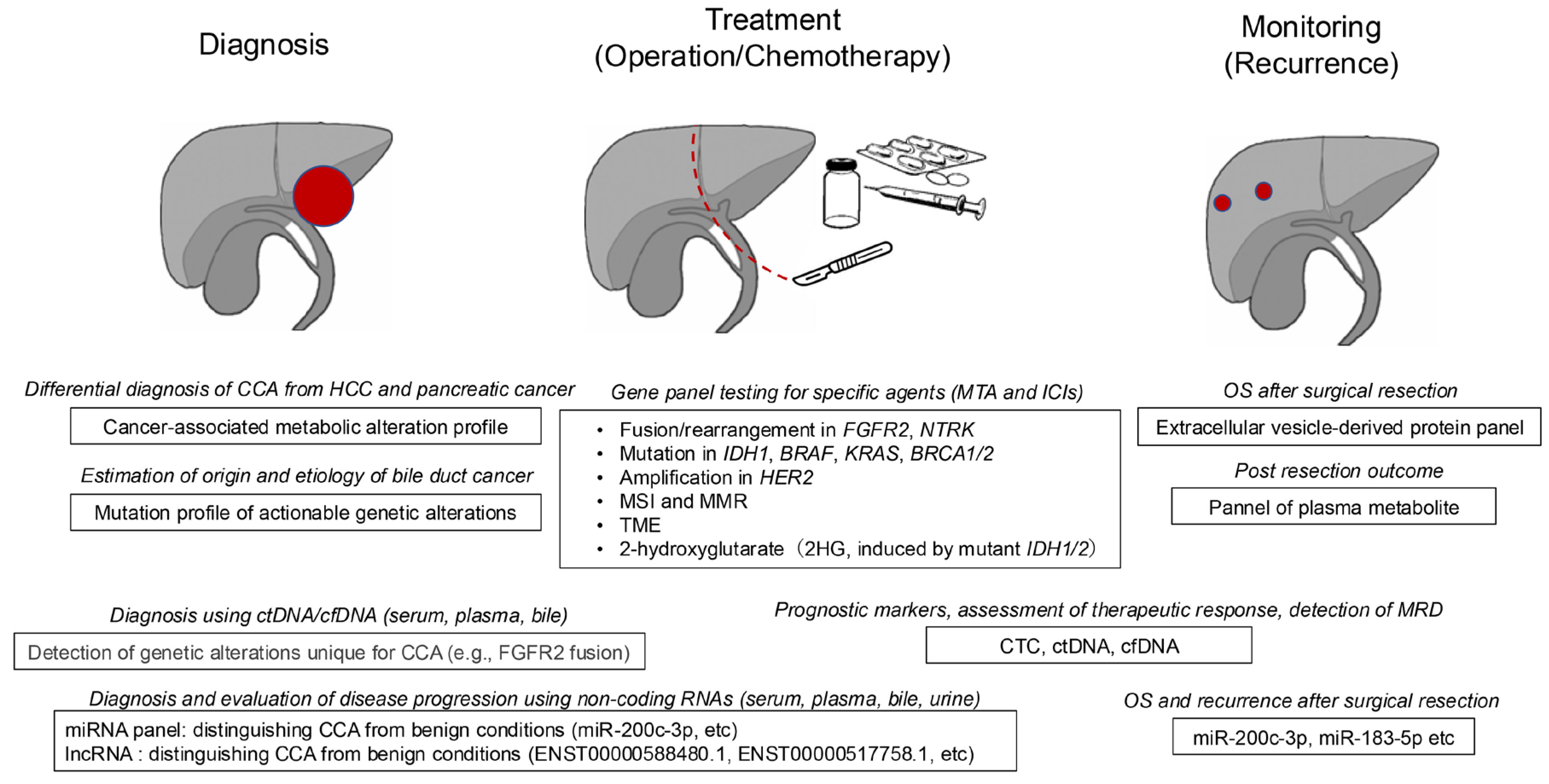 wy Biomarkers for the Management of Cholangiocarcinoma: Unveiling New