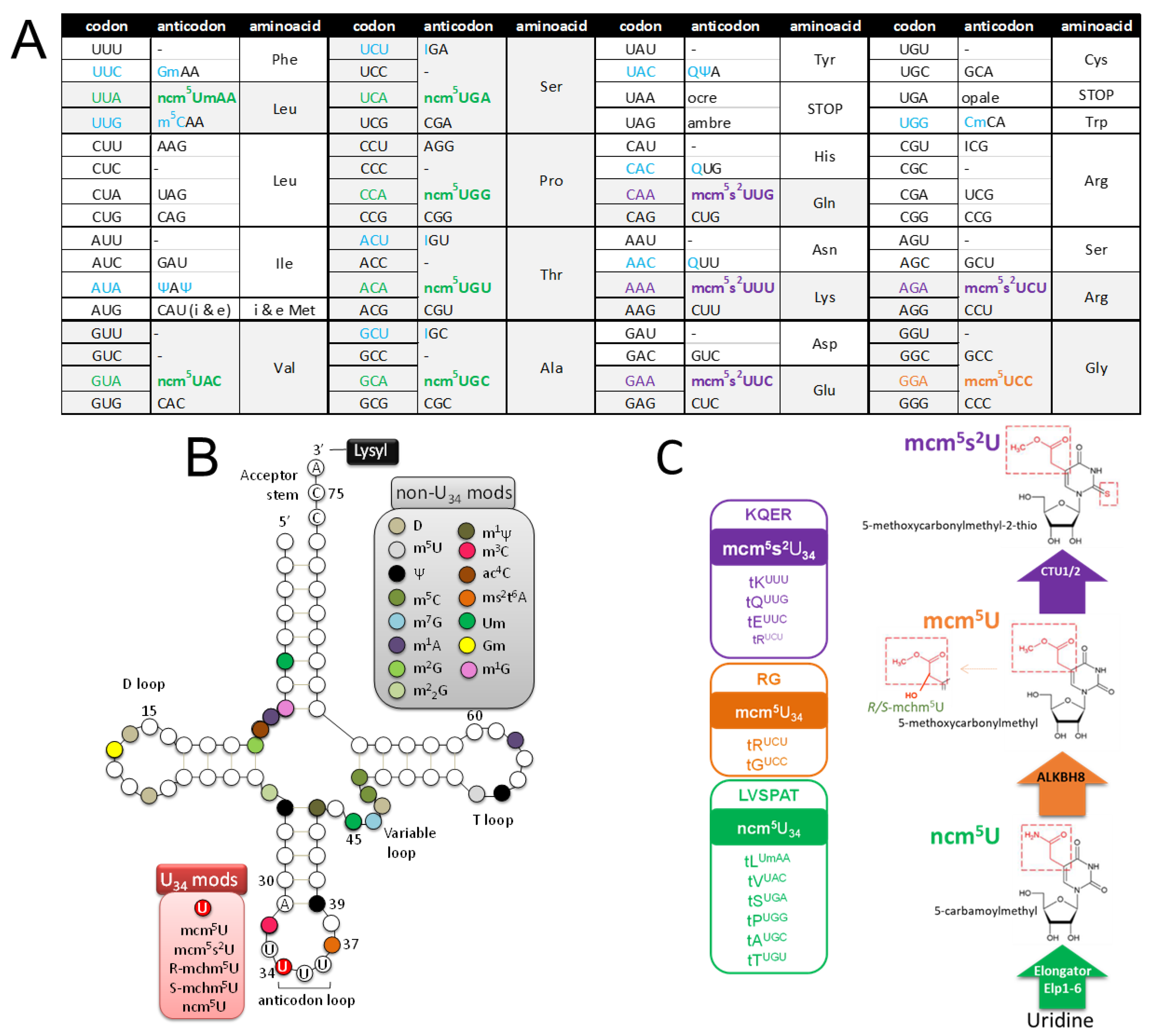 Preprints 119420 g001