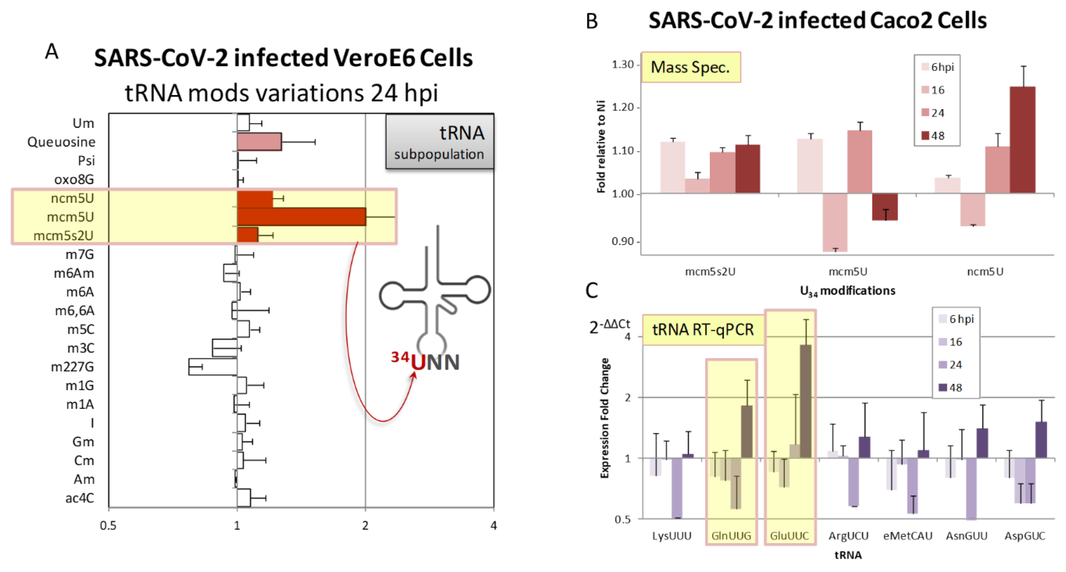 Preprints 119420 g008