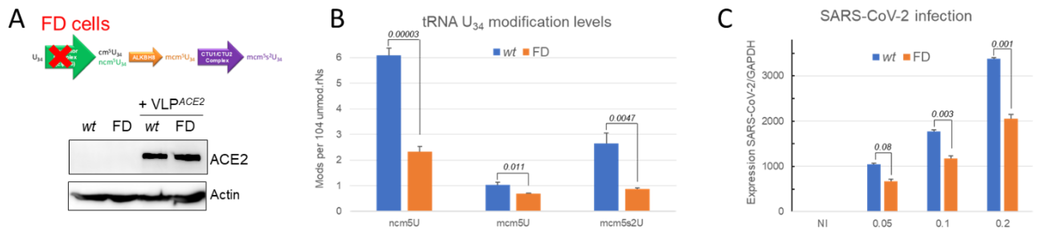 Preprints 119420 g009