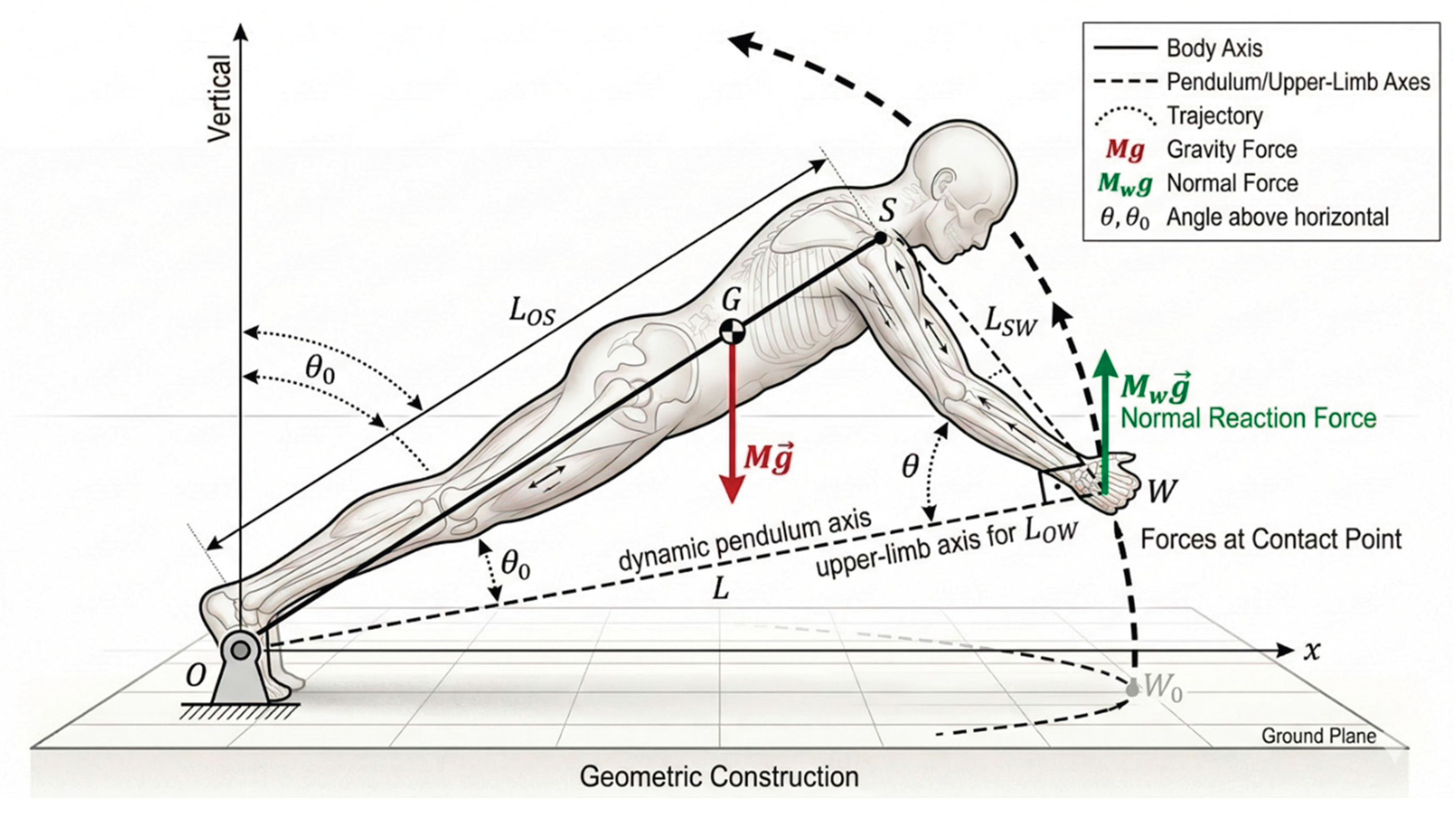 Preprints 202989 g001