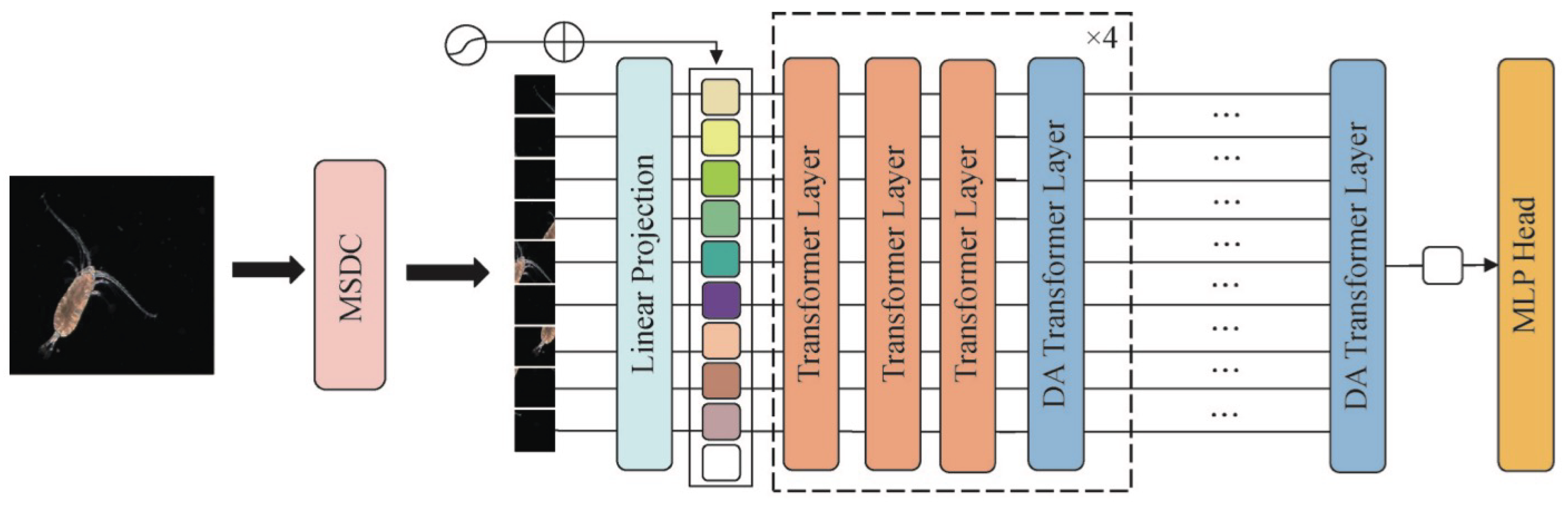 Preprints 218869 g001