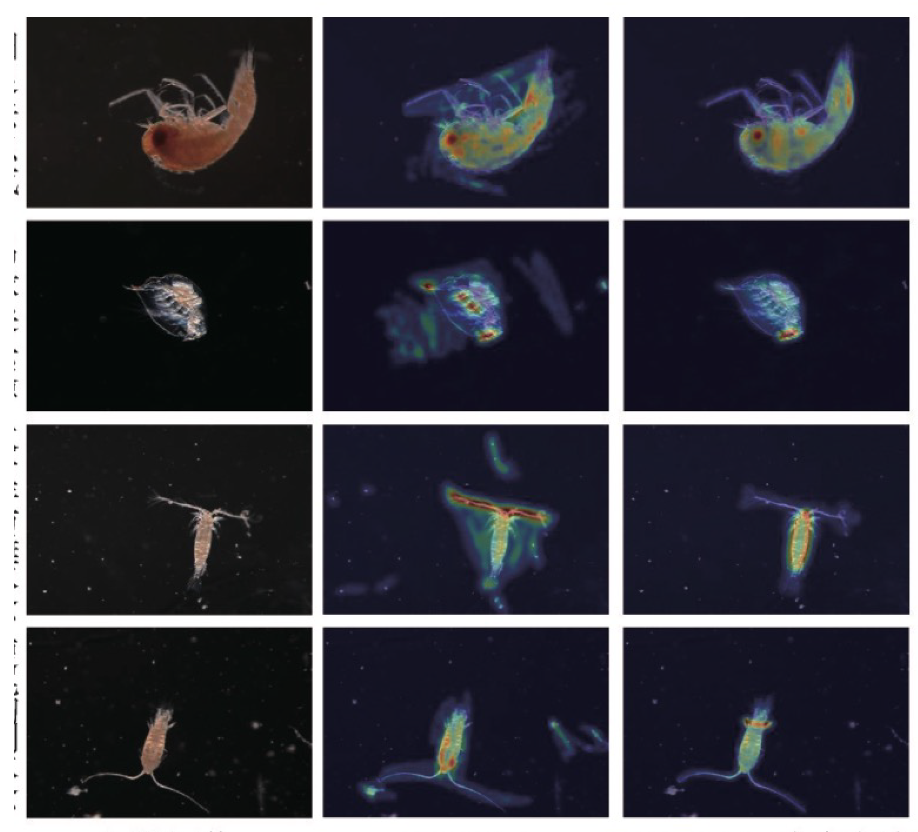 Preprints 218869 g003