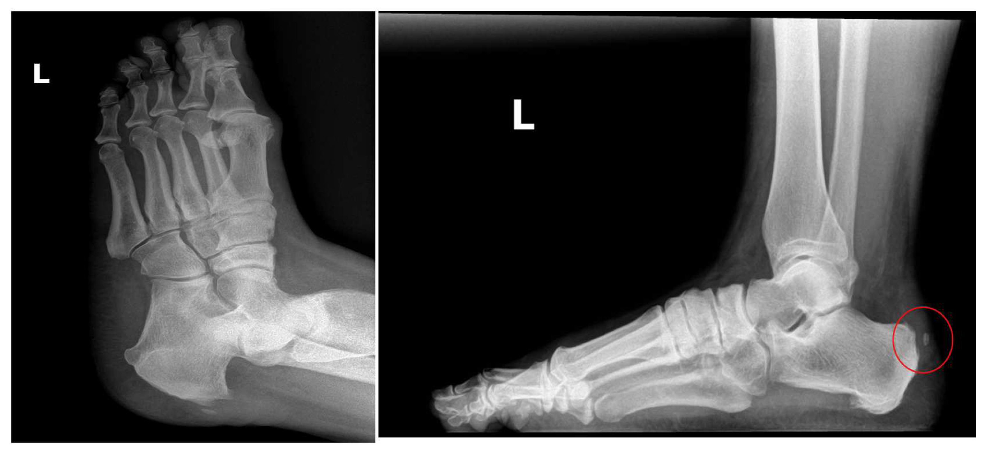 Preprints 90429 g002