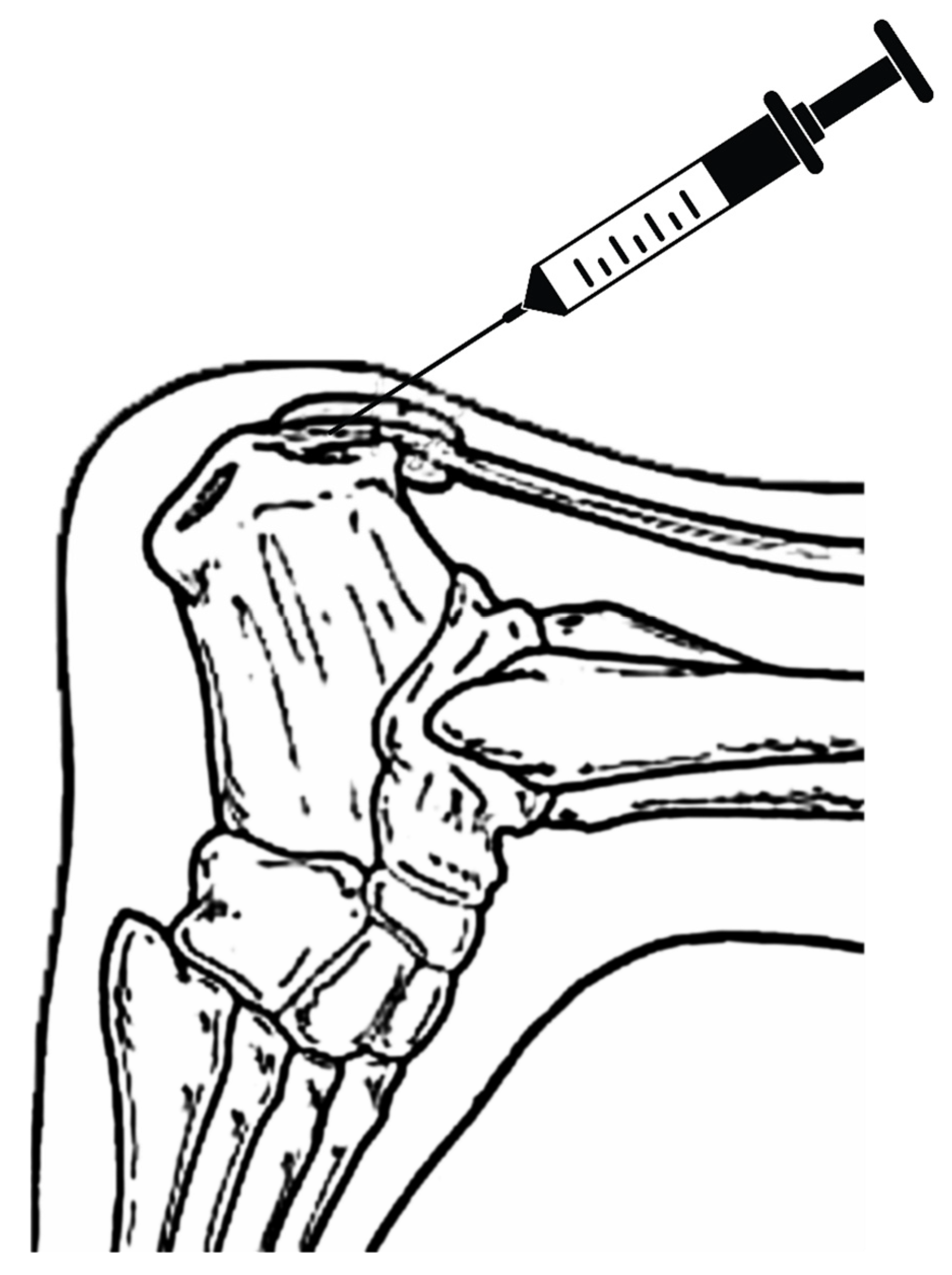 Preprints 90429 g003