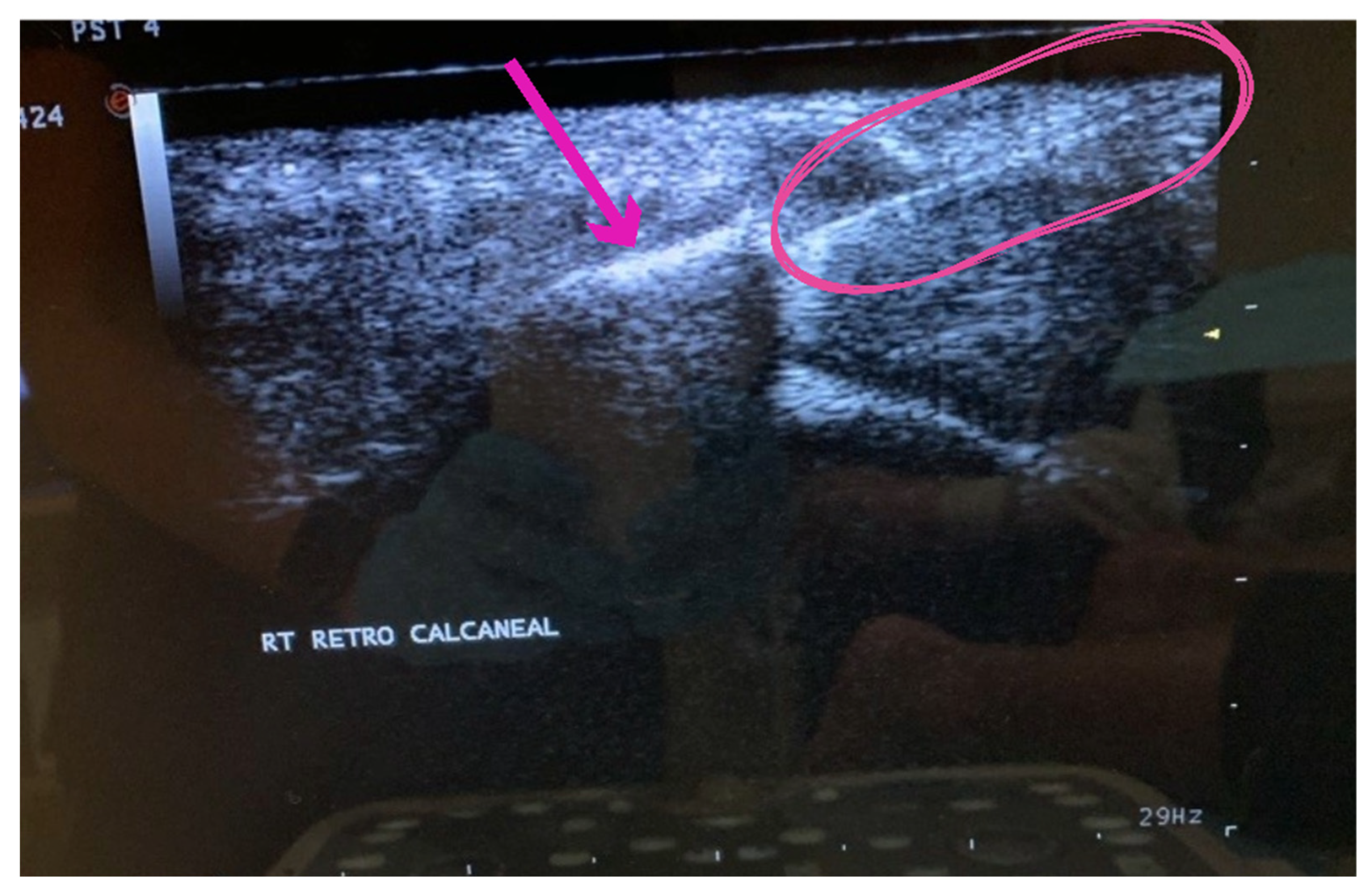 Preprints 90429 g005